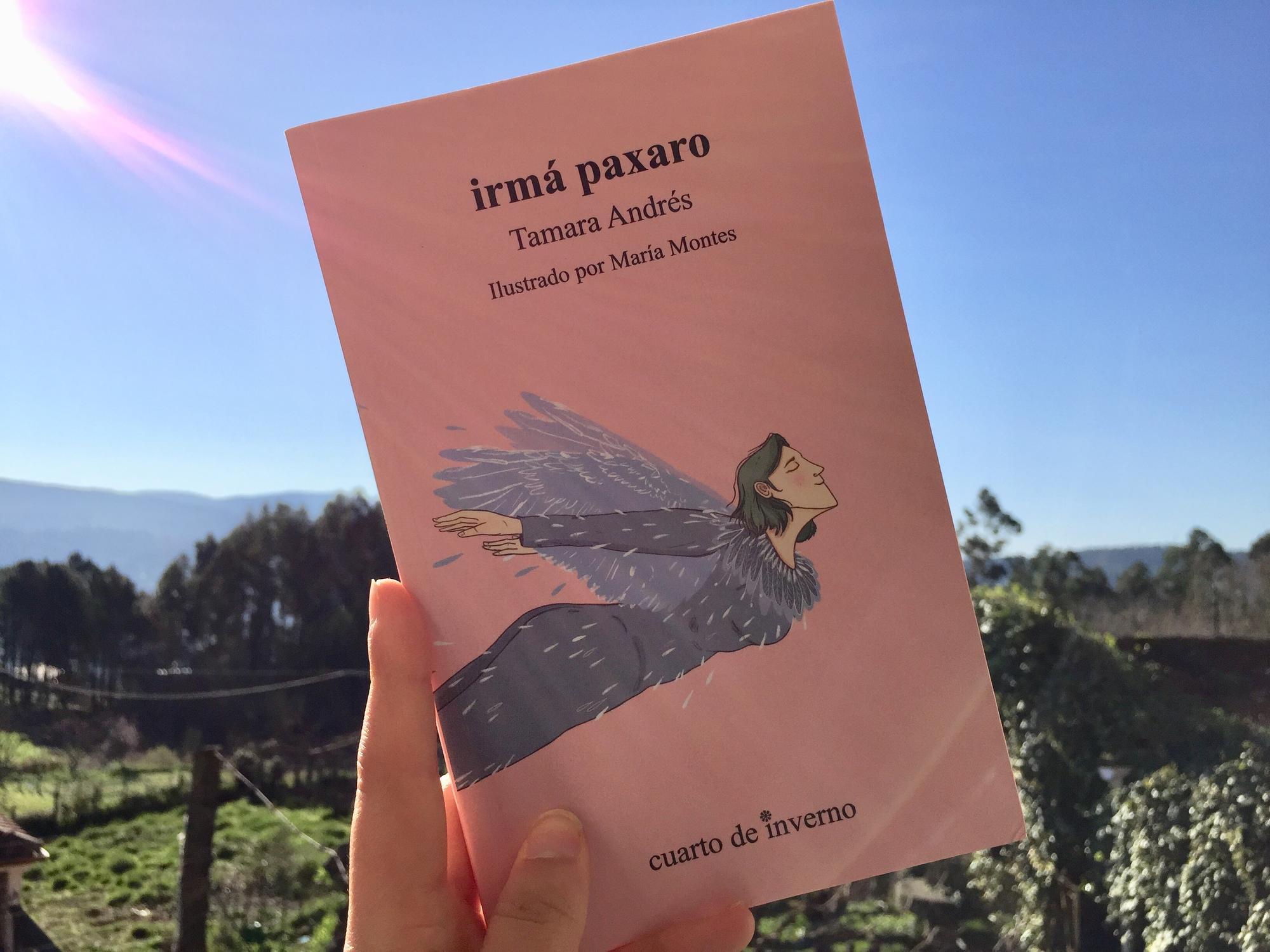 Irmá paxaro