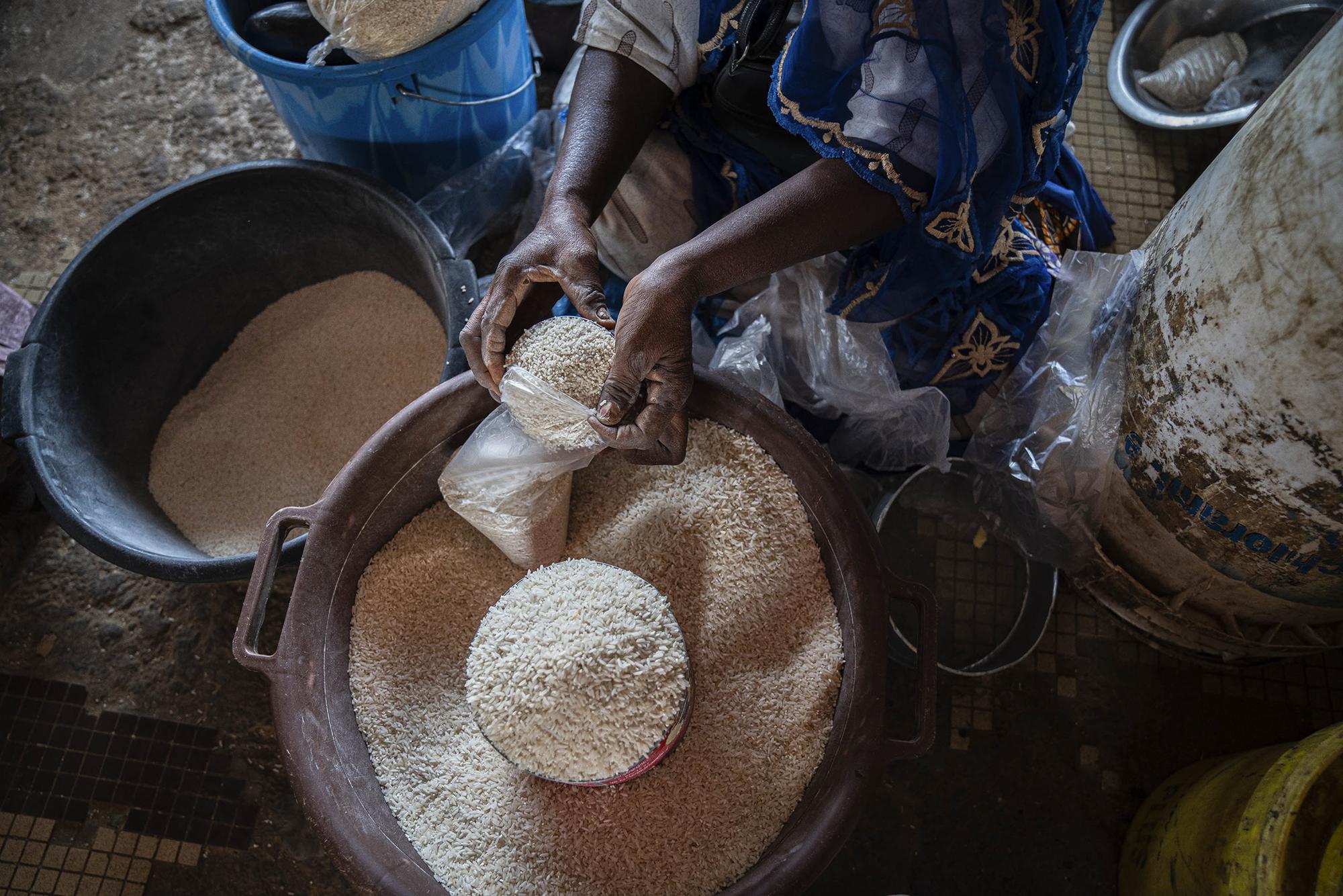Agroecología y feminismo en Senegal - 7