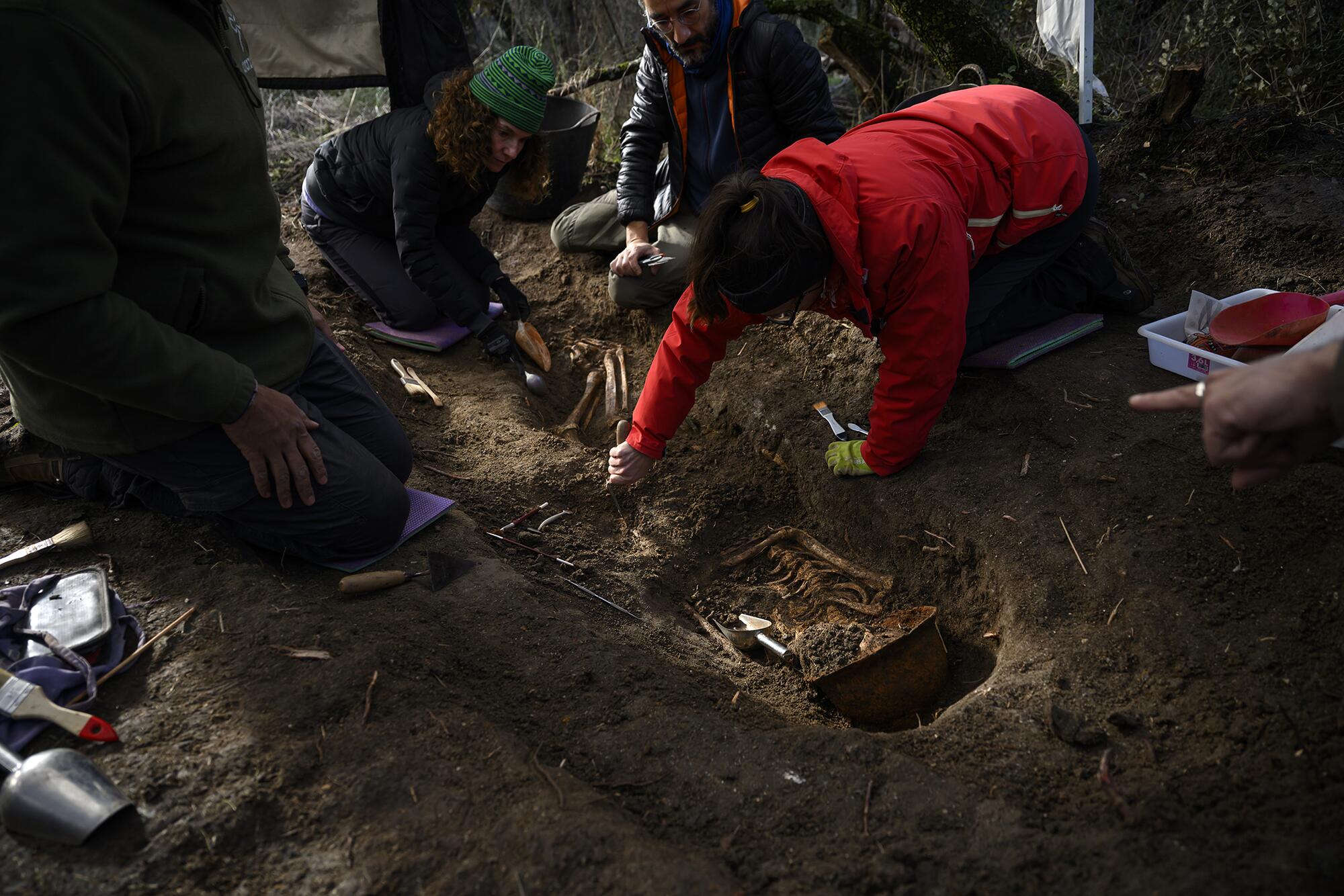 Brigadista Boadilla - 7