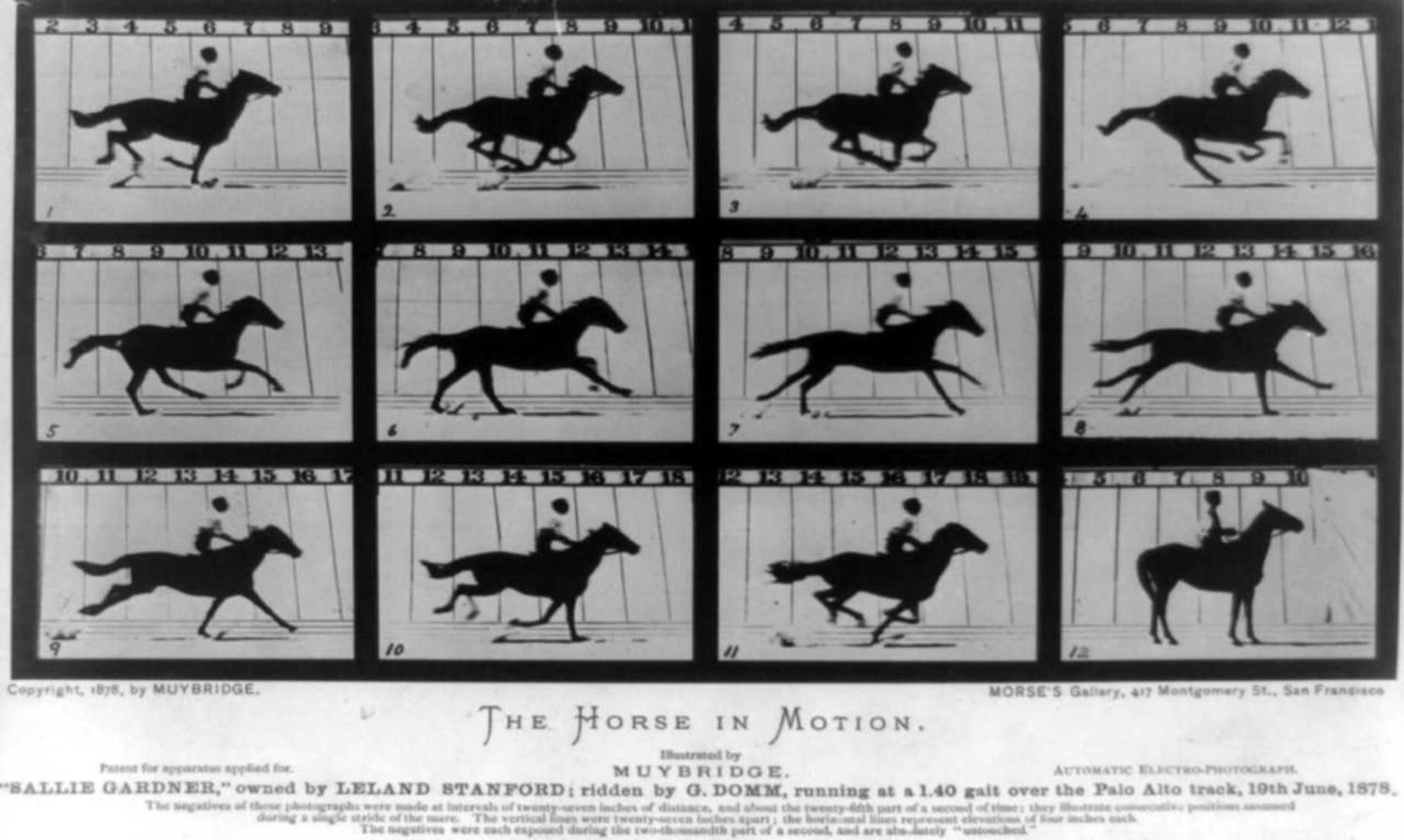 El caballo en movimiento. Muybridge
