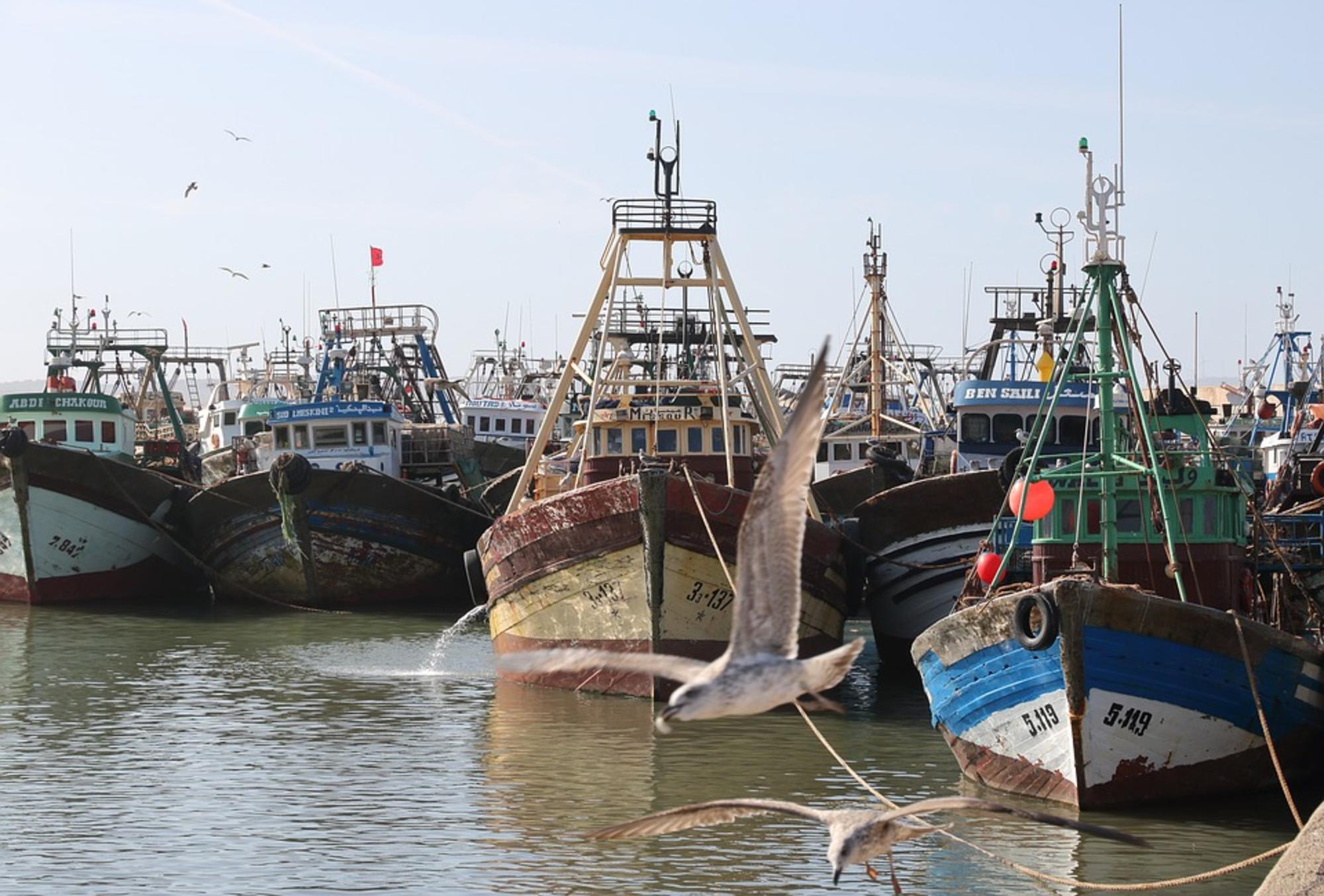 Pesca Marruecos Barcos