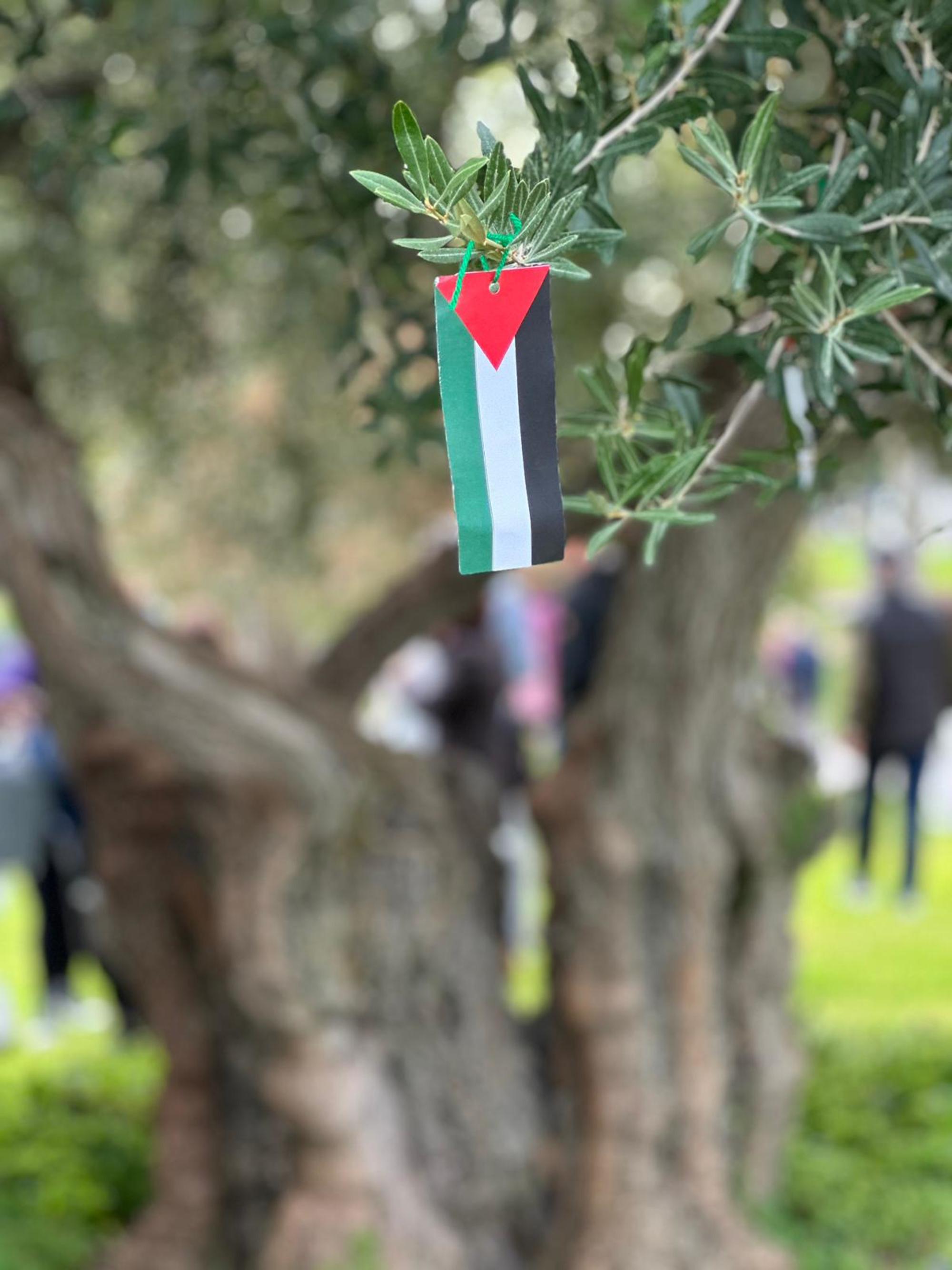 12N Andalucía Palestina - 6