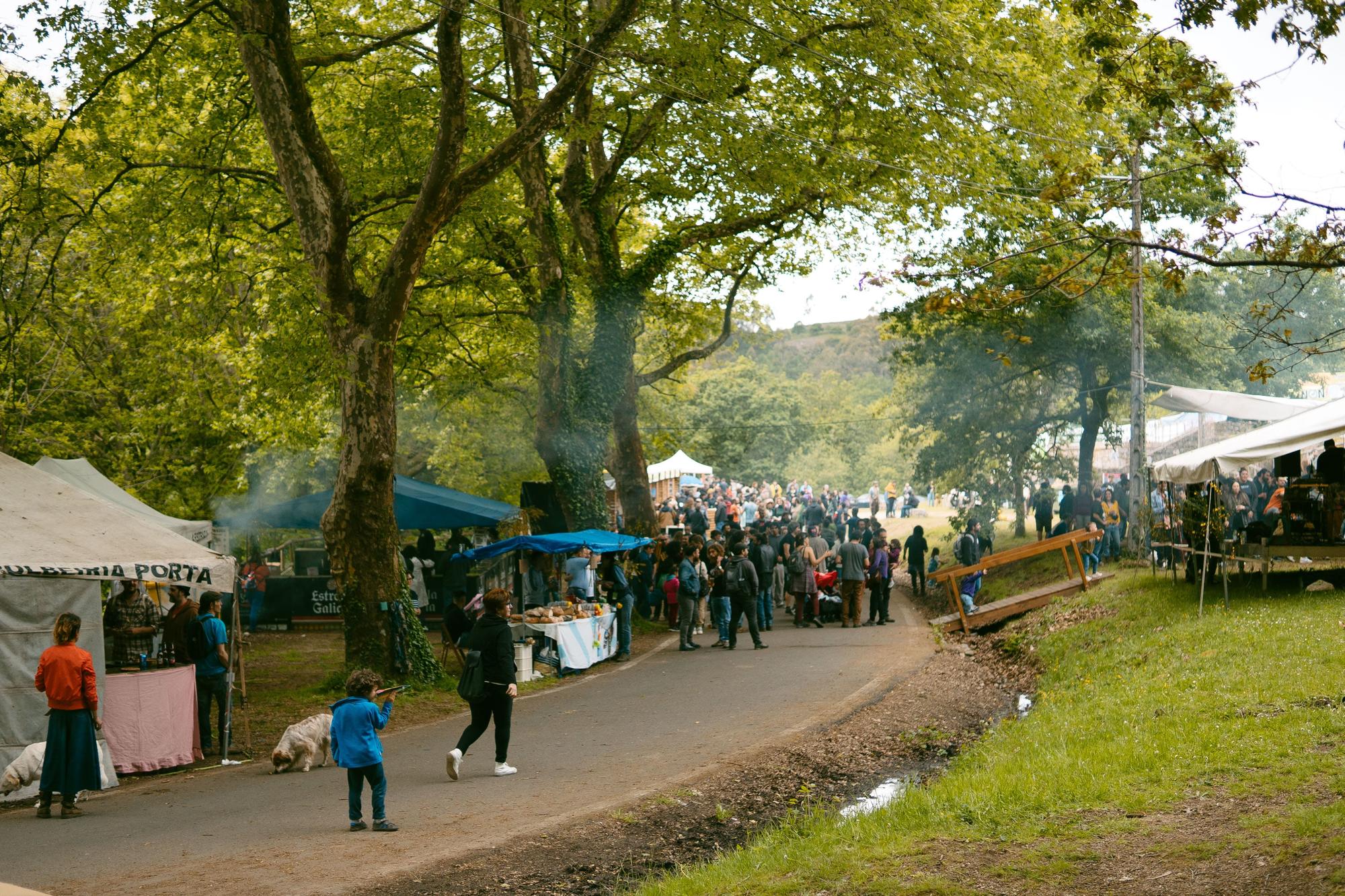 Burla Verde - 2