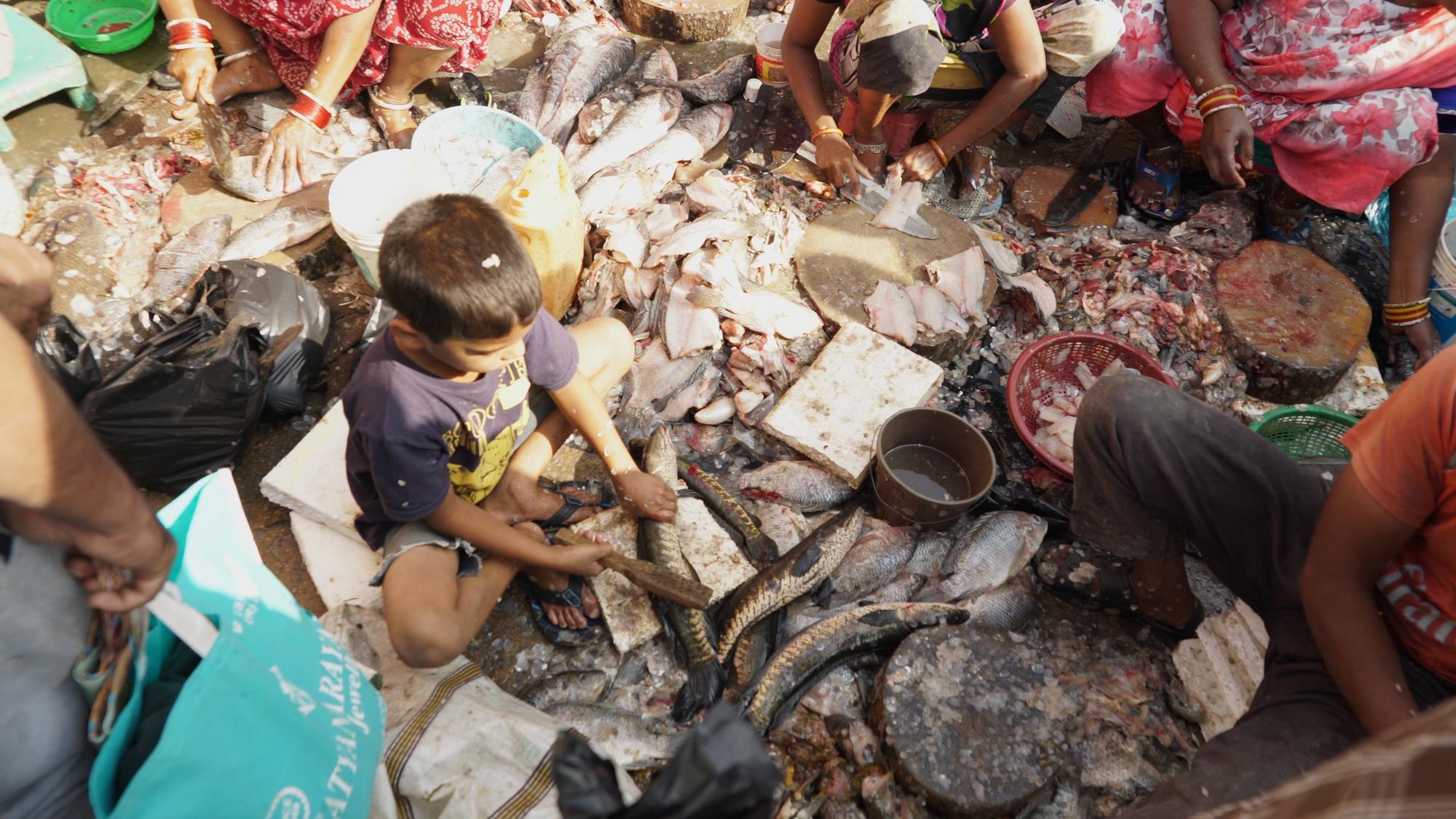 Mercado de animales vivos en India