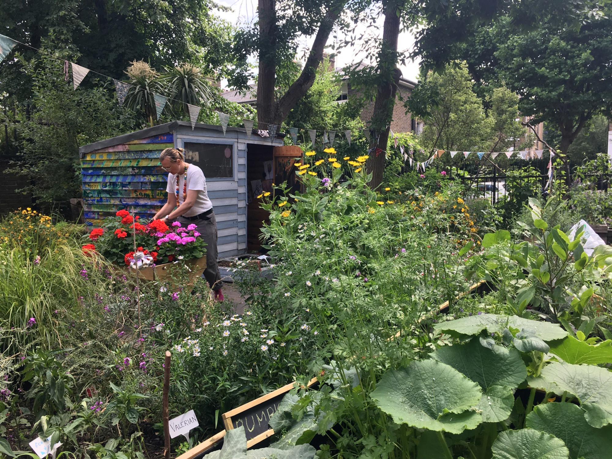 El Jardín de los Seis Sentidos en el centro de salud James Grigg, Kentish Town, Londres