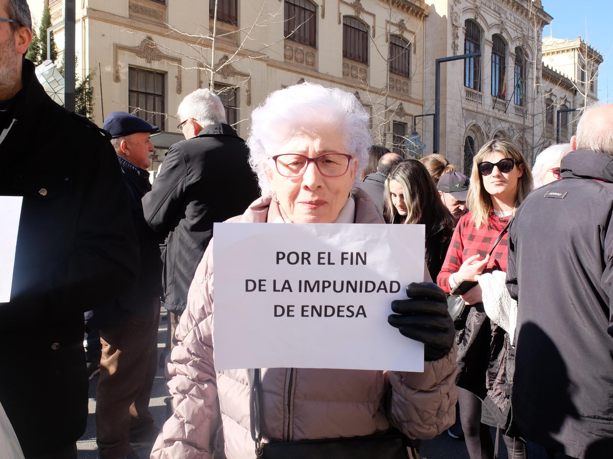 Por el fin de la impunidad de Endesa