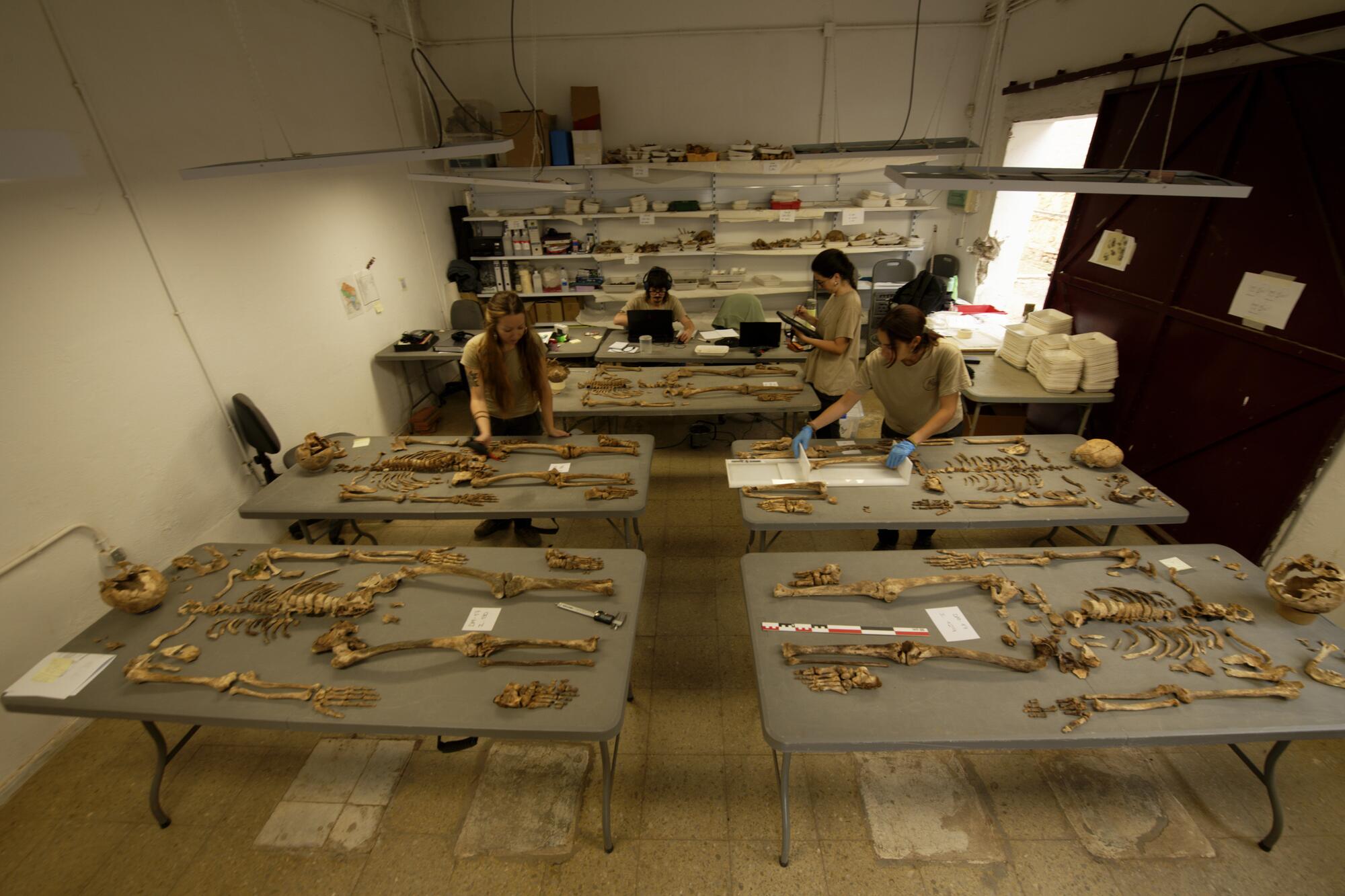 Reportaje memoria MAR 03