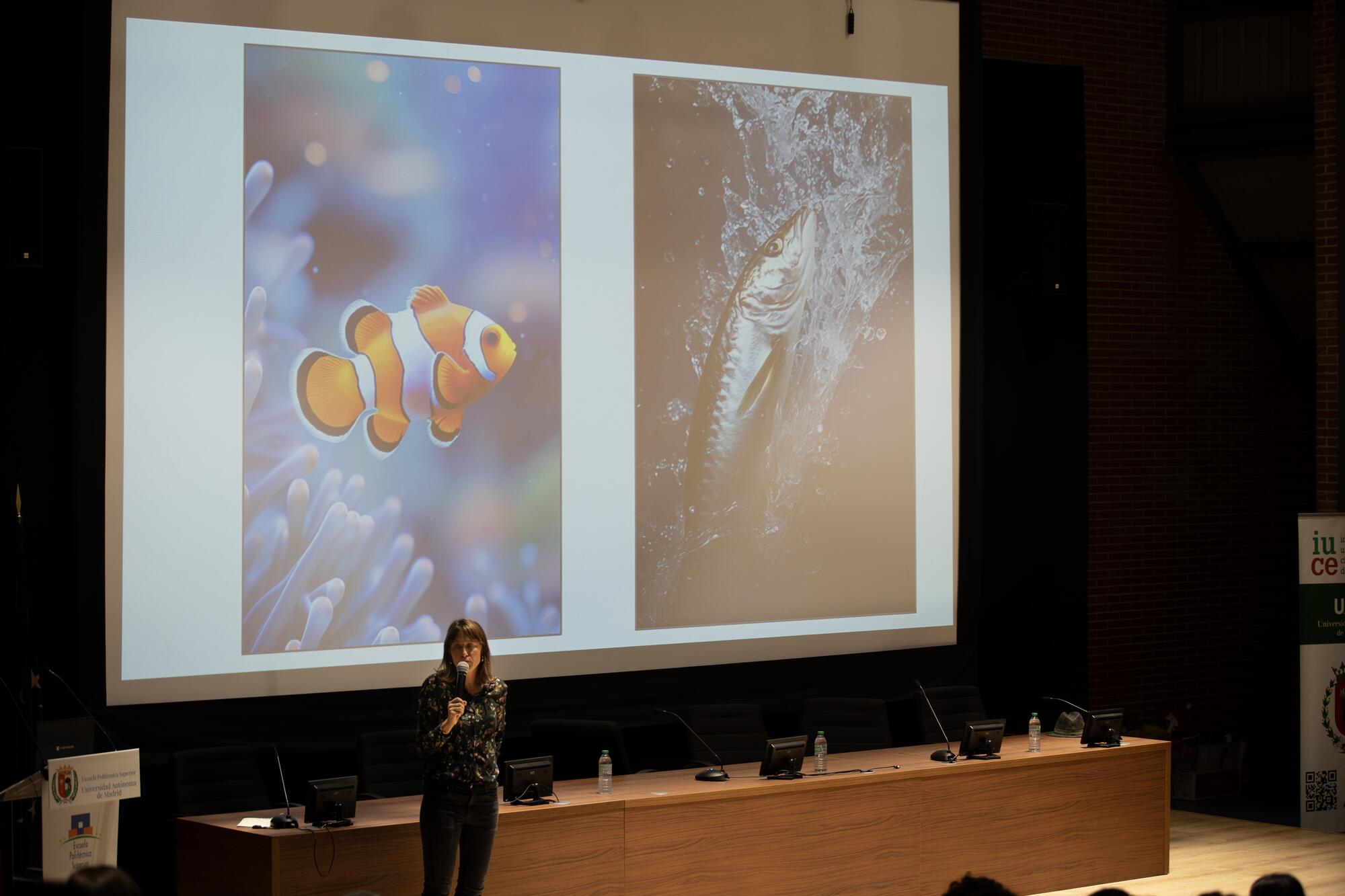 Aula Animal y Animals' View invites a docent's a introducer el respite a los animales en las auldas
