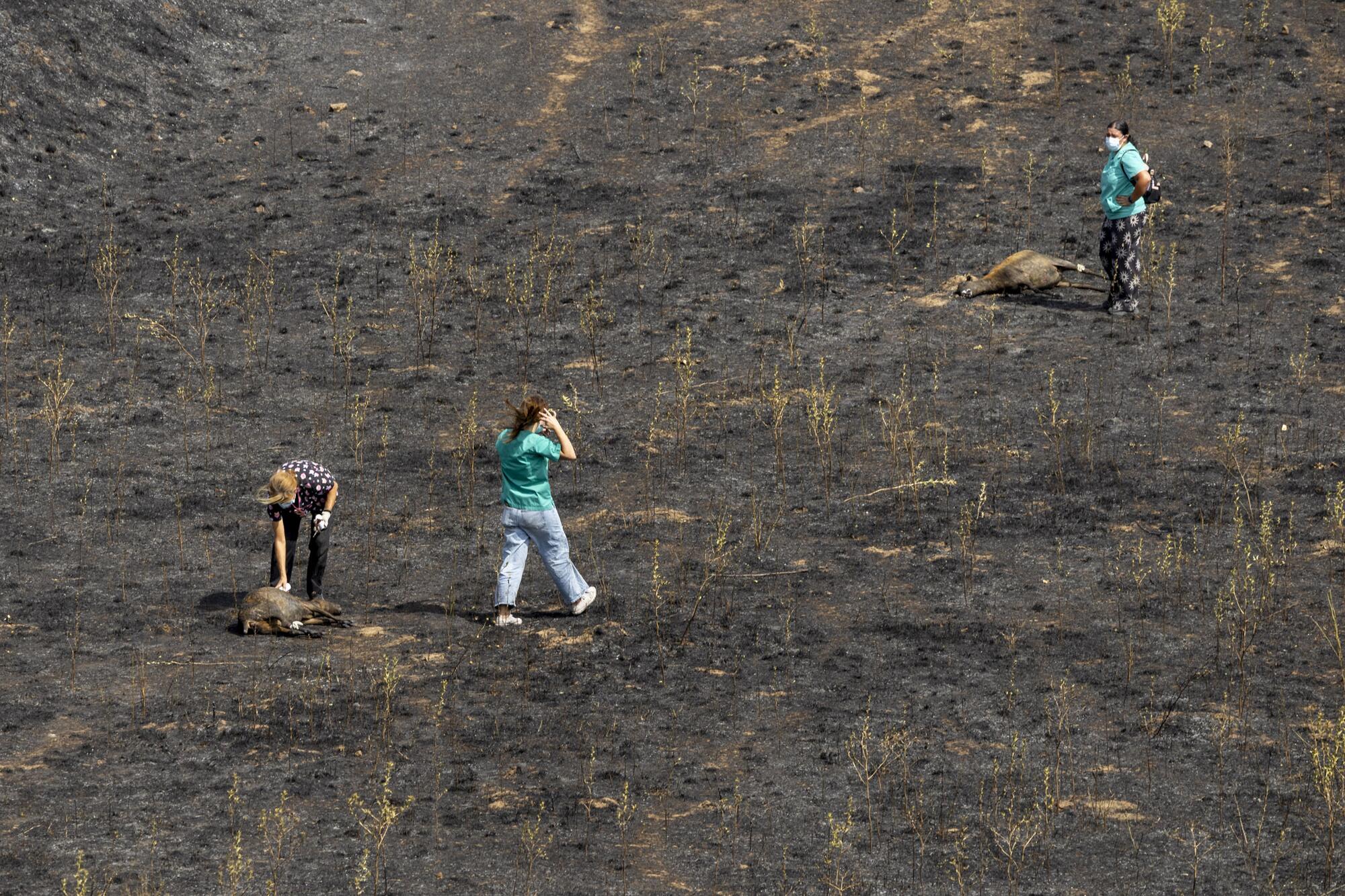 Incendio Tres Cantos  - 12