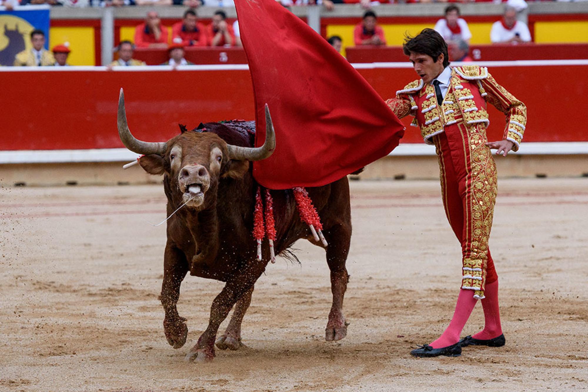 Toro herido perdiendo sangre mientras es toreado en la plaza de toros de Iruña