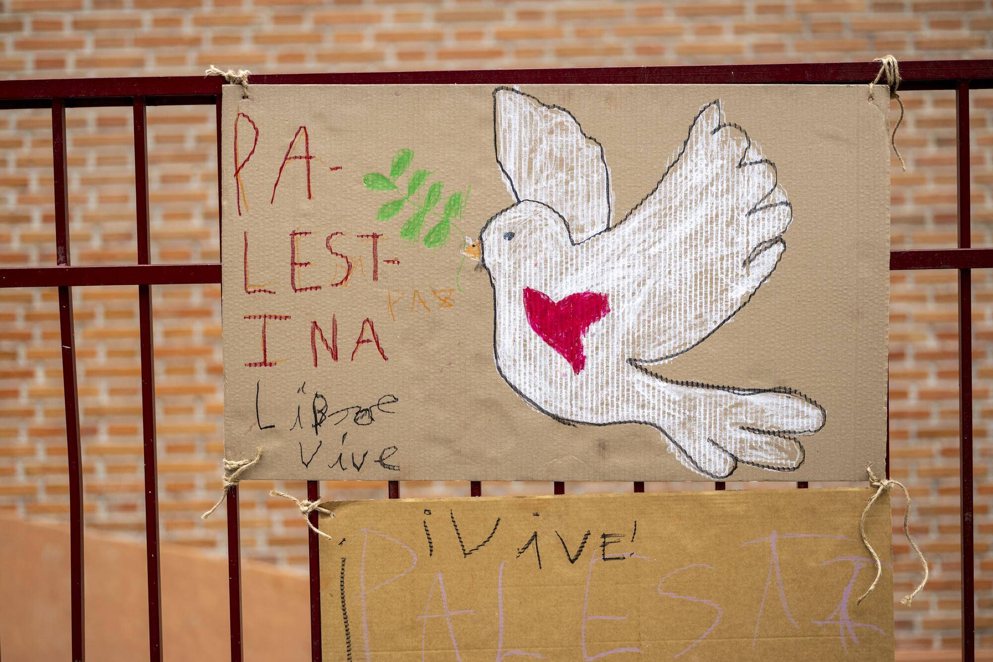 Martes por Palestina Colegios - 1