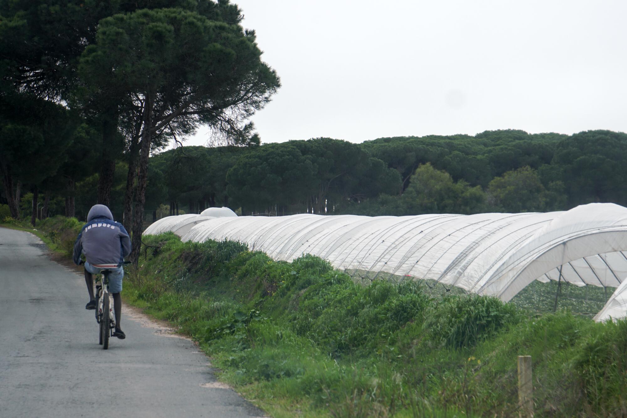 Explotación fresa - 5