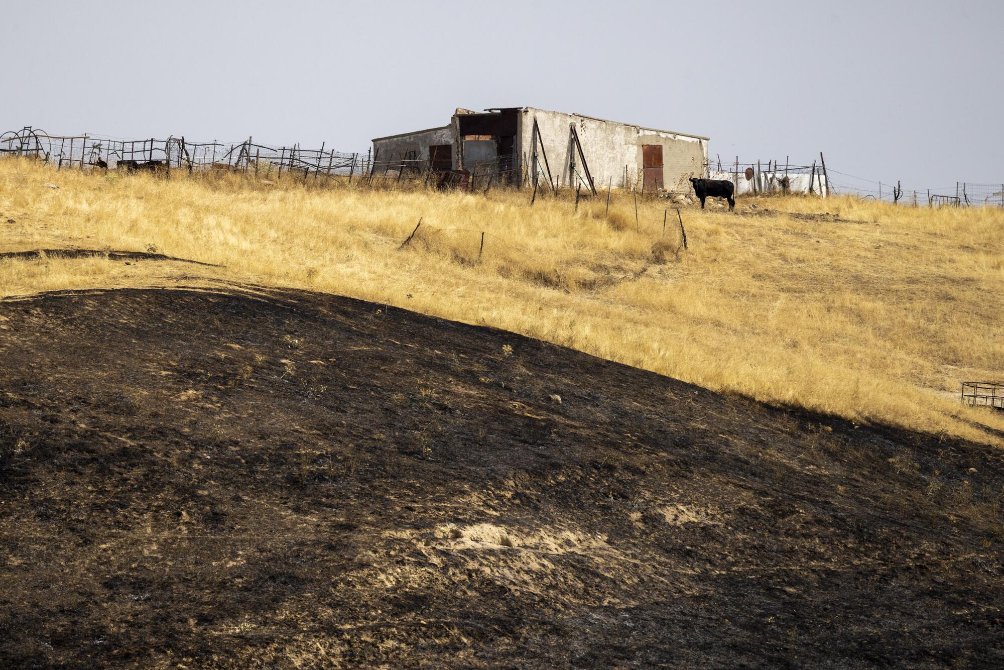 Incendio Tres Cantos  - 7