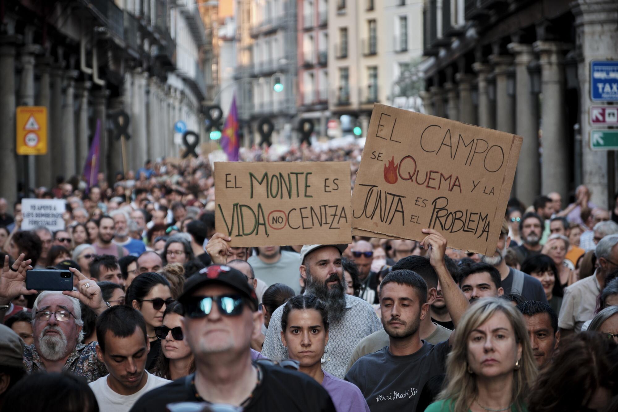 Manifestación Valladolid 20 de agosto Incendios Galeria - 9