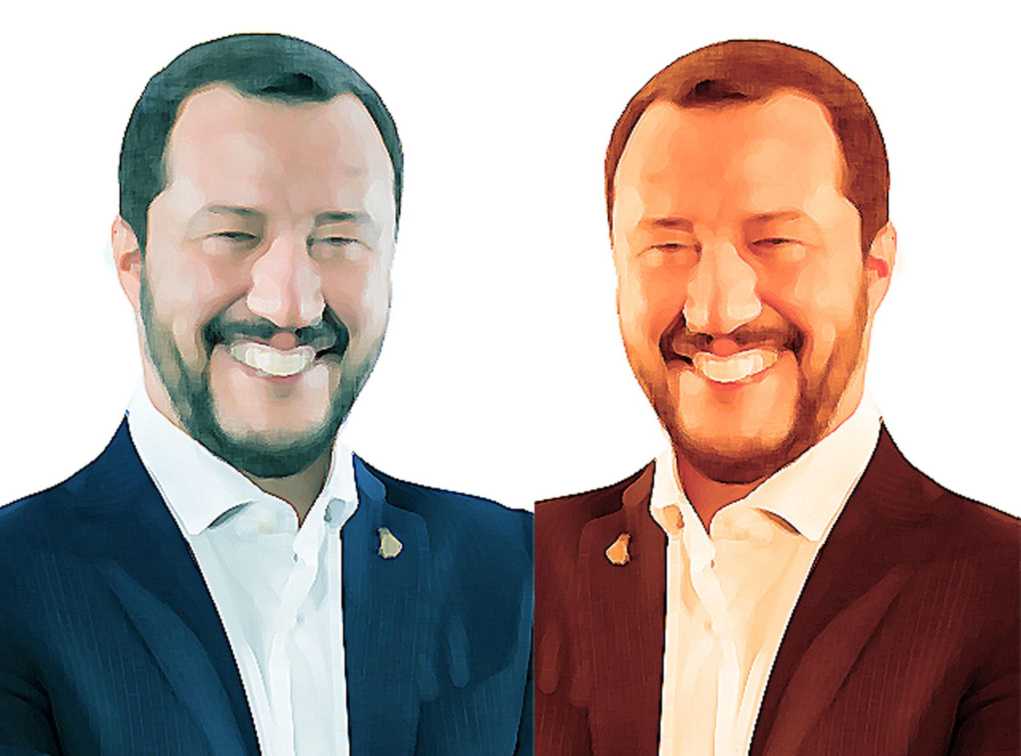 Dos salvinis