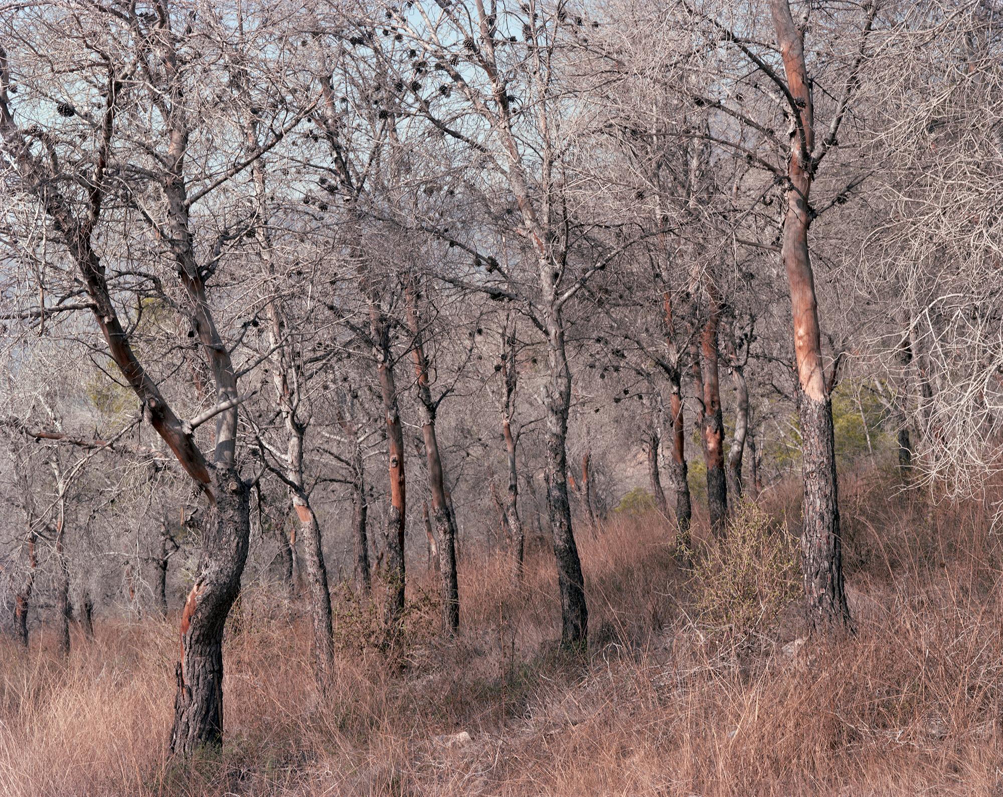 Árida: crisis climática y desertificación en el sureste ibérico - 7