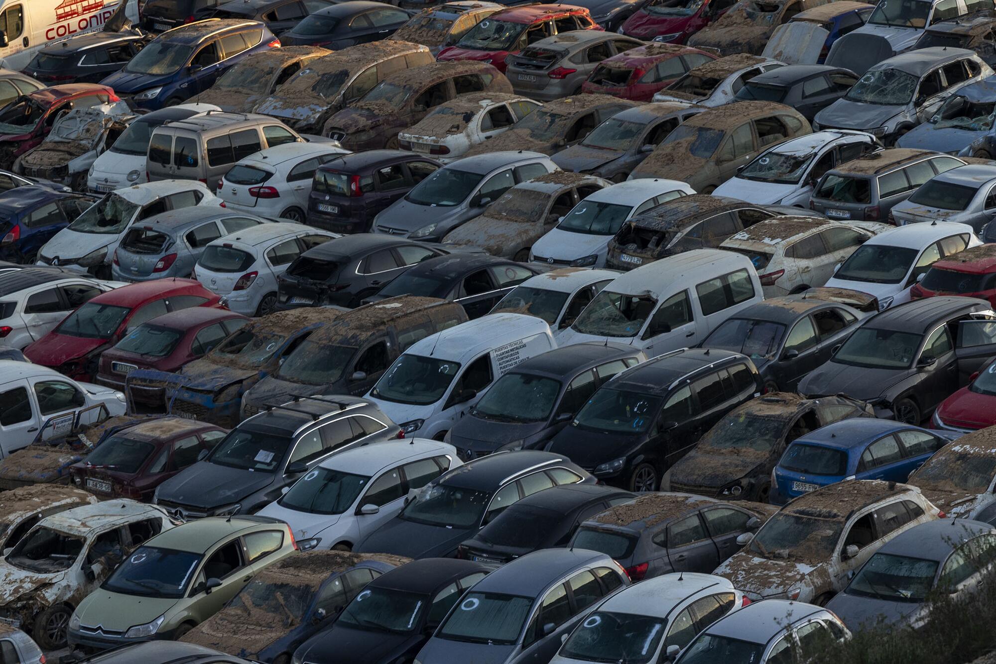 Coches Dana Eva Mañez - 2