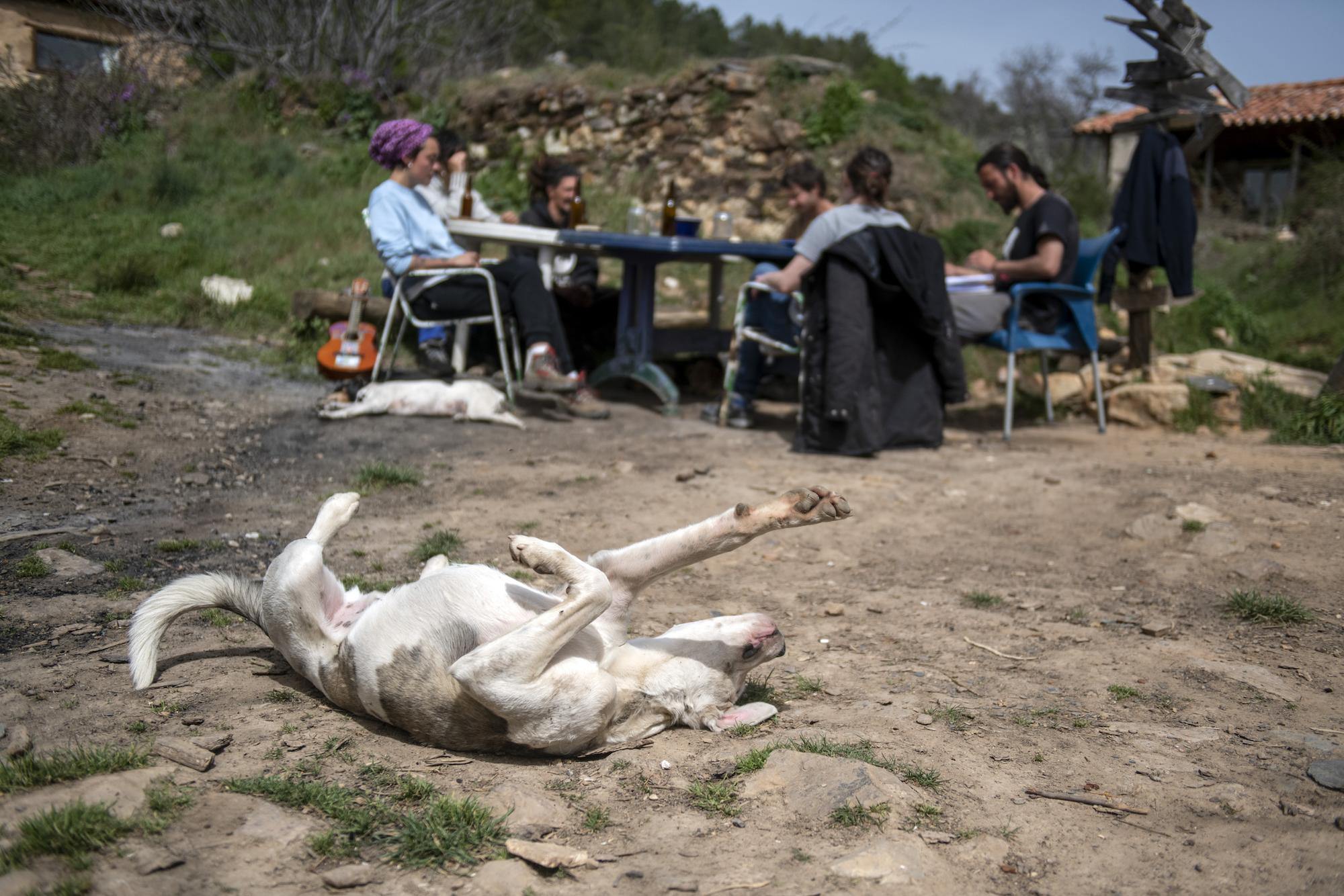 Fraguas, una okupación rural perseguida - 19