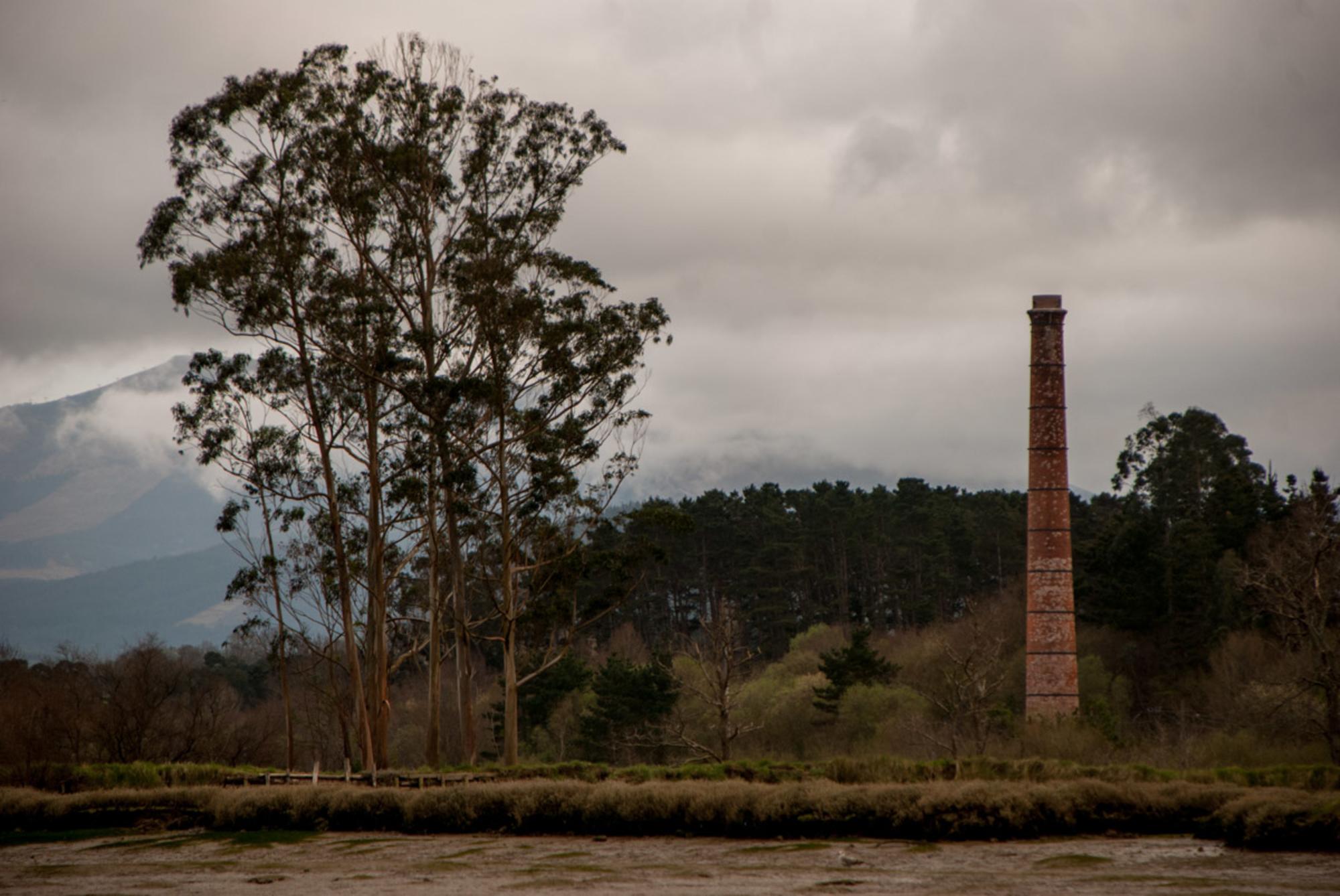 Guggenheim Urdaibai Muruetan. Joseba Barrenetxea