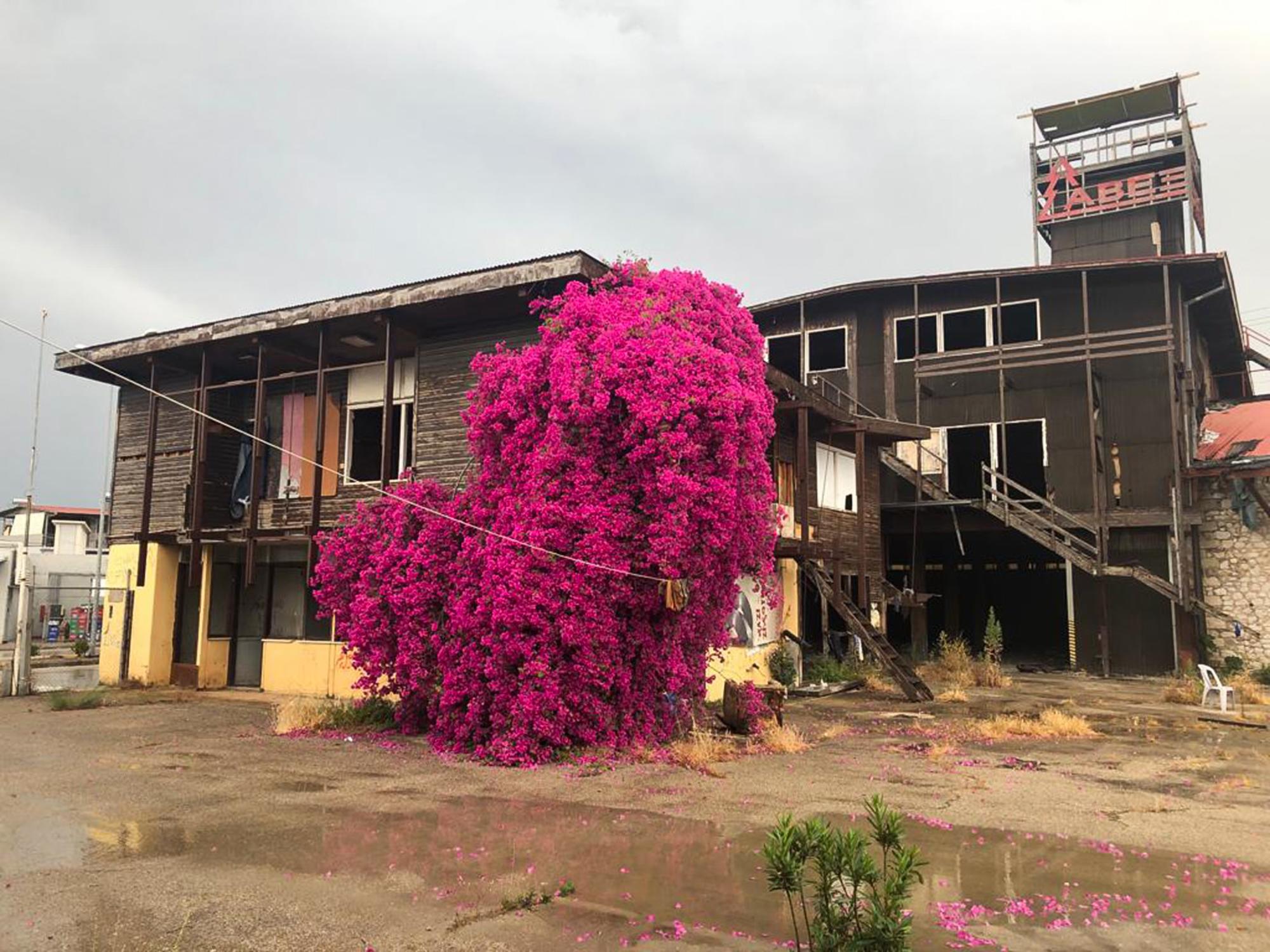 Casa ocupada migrantes
