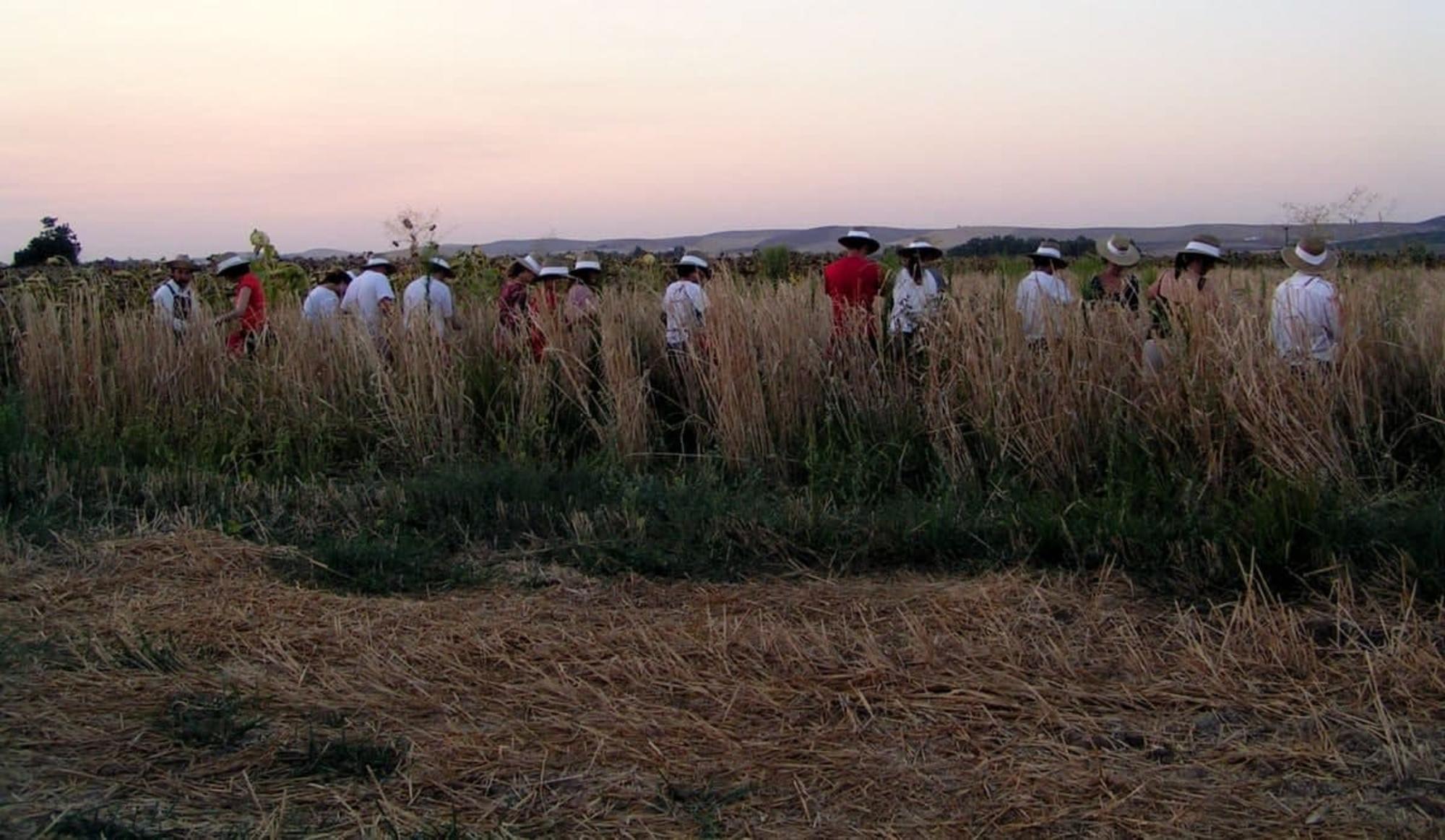 Inicio de la agroperformance Pan, al amanecer.