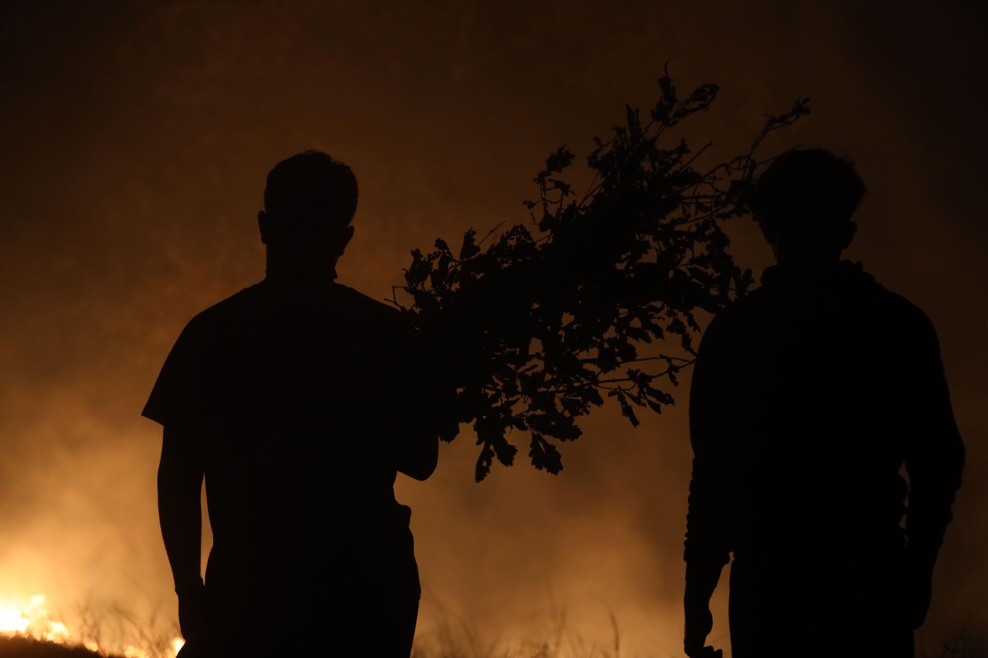 Incendio Cima de Vila, Concello de Pantón, Lugo - 5