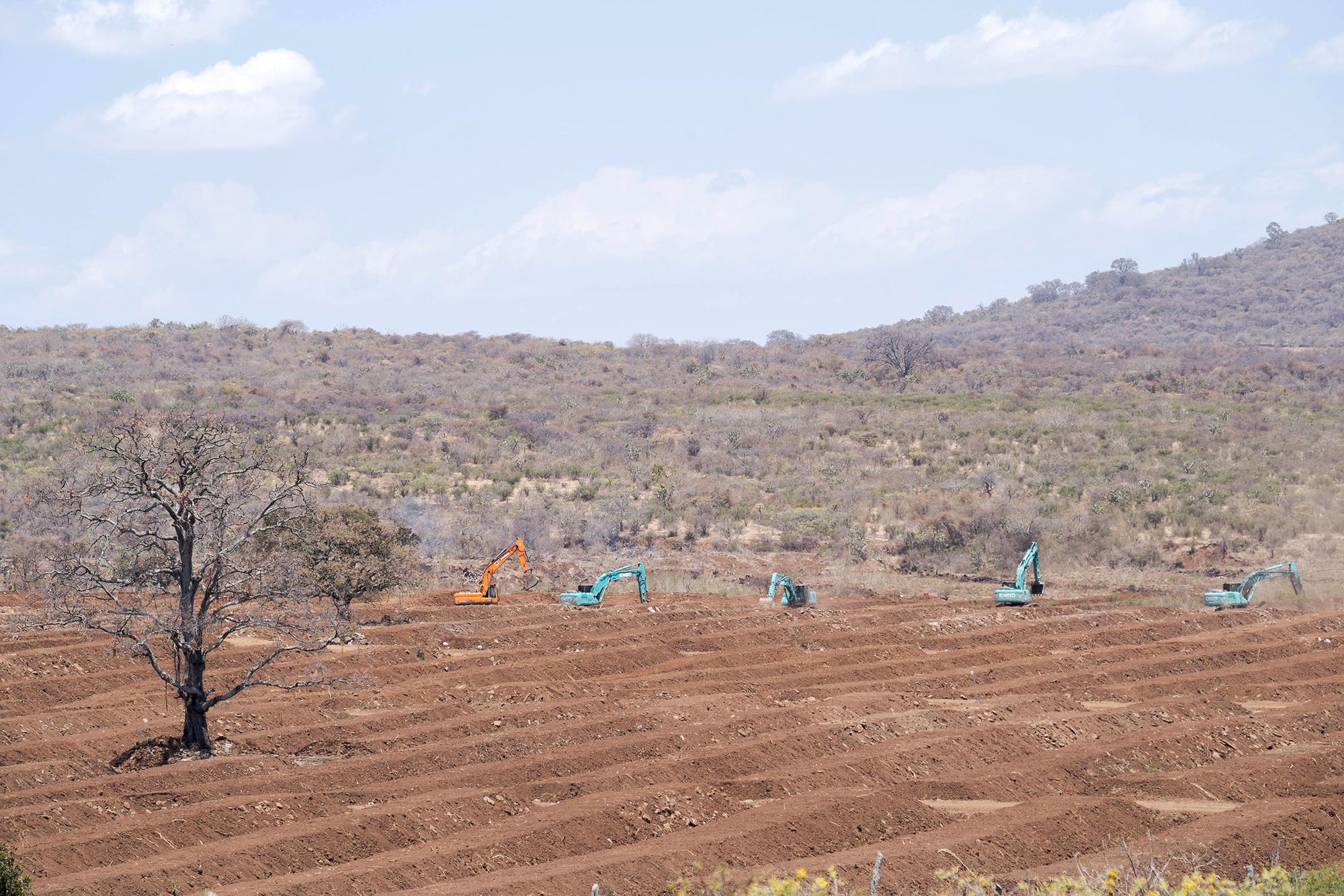 Crímenes del Aguacate - 1