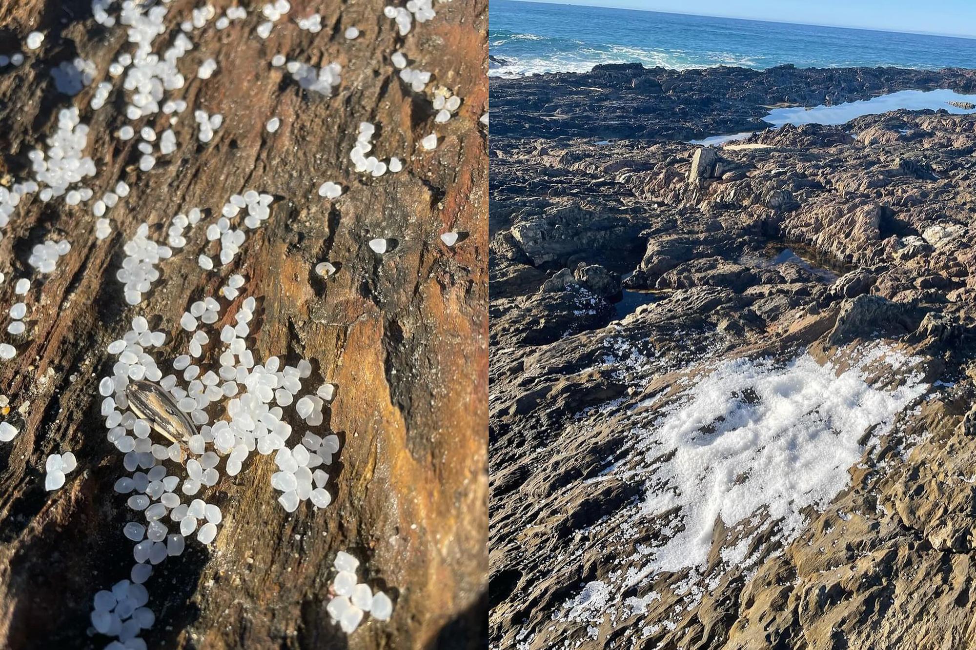 Microplasticos Galicia