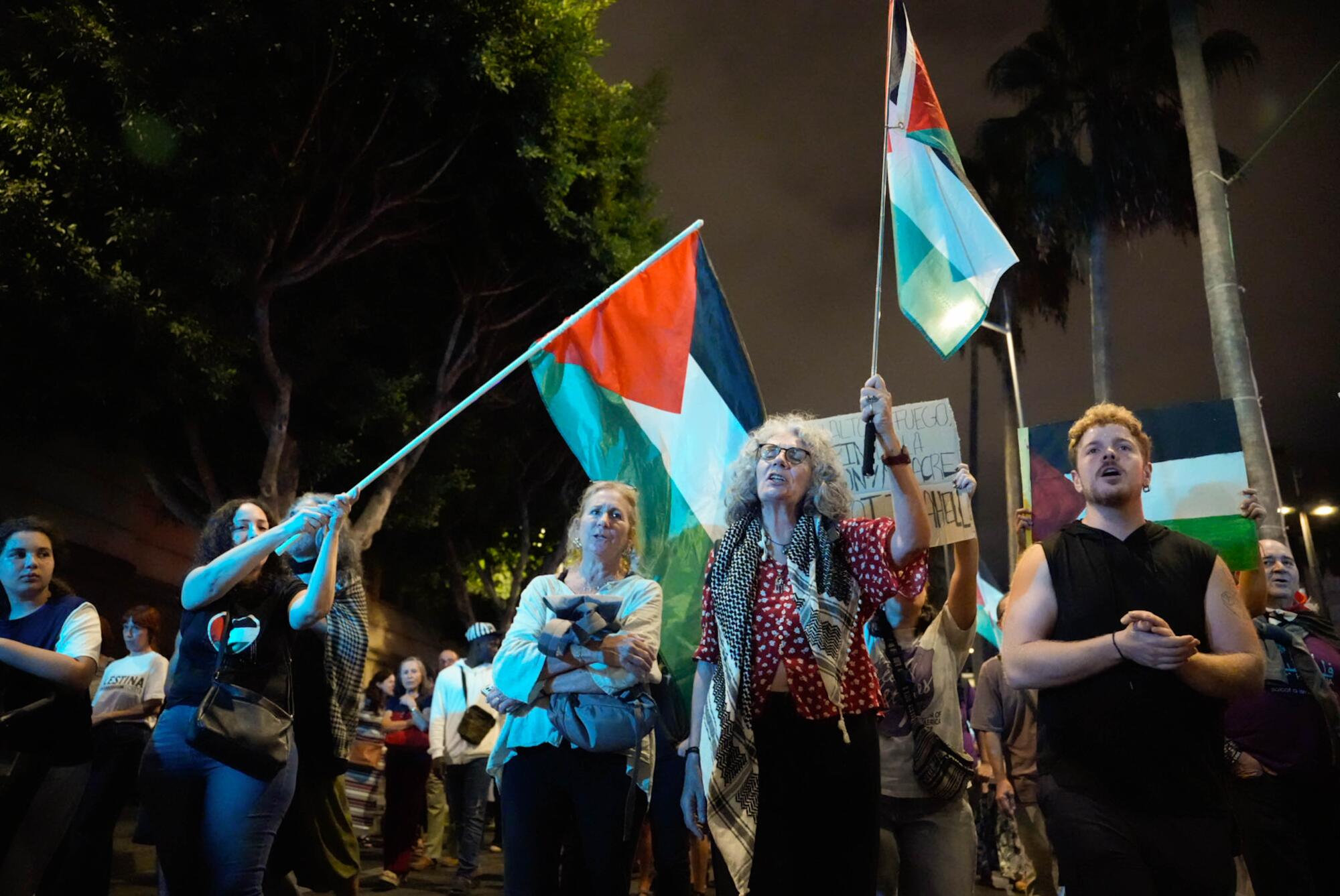Así fue la huelga general por Palestina en Andalucía - 6