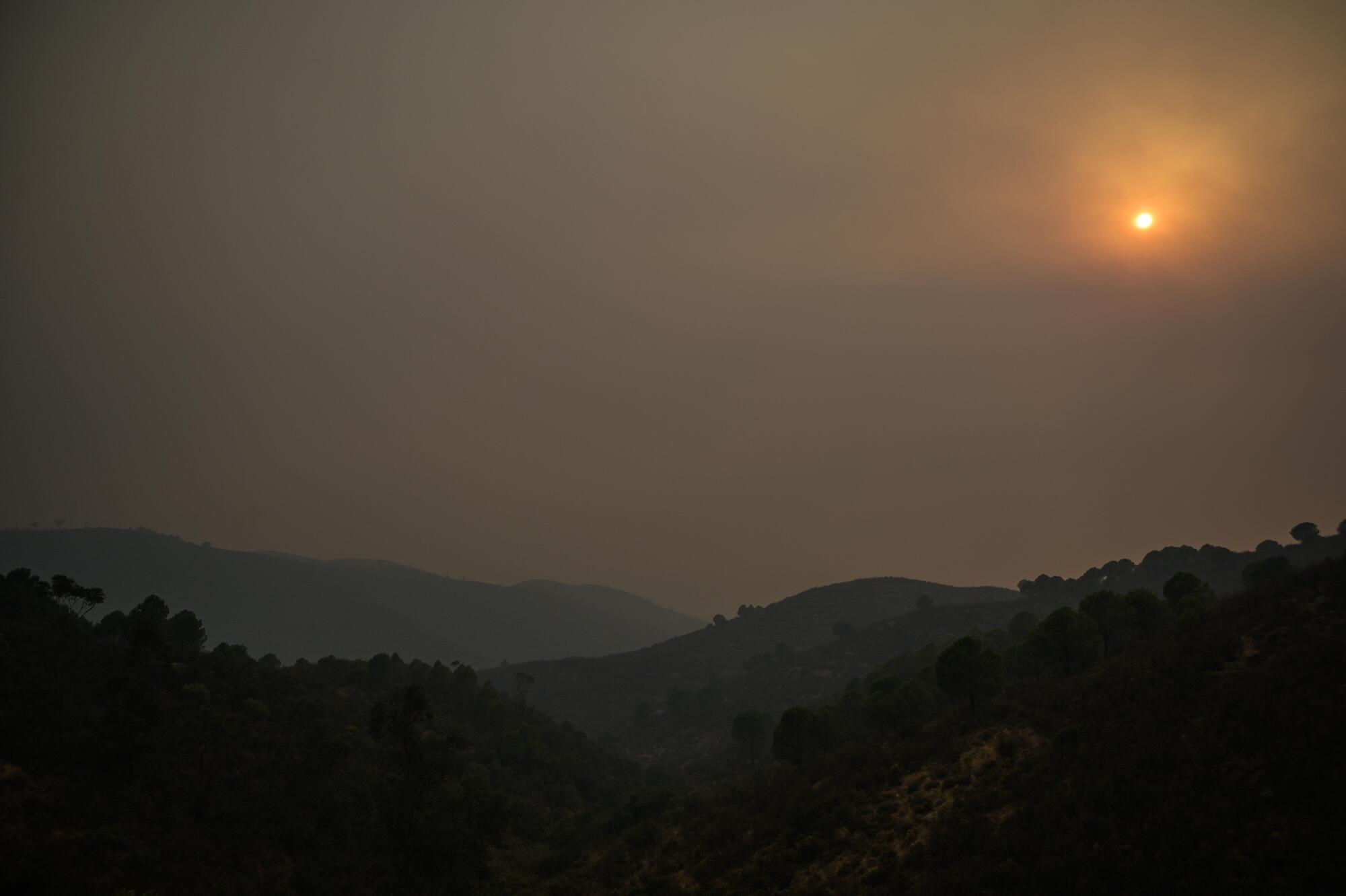 Incendio Niebla Huelva - 3