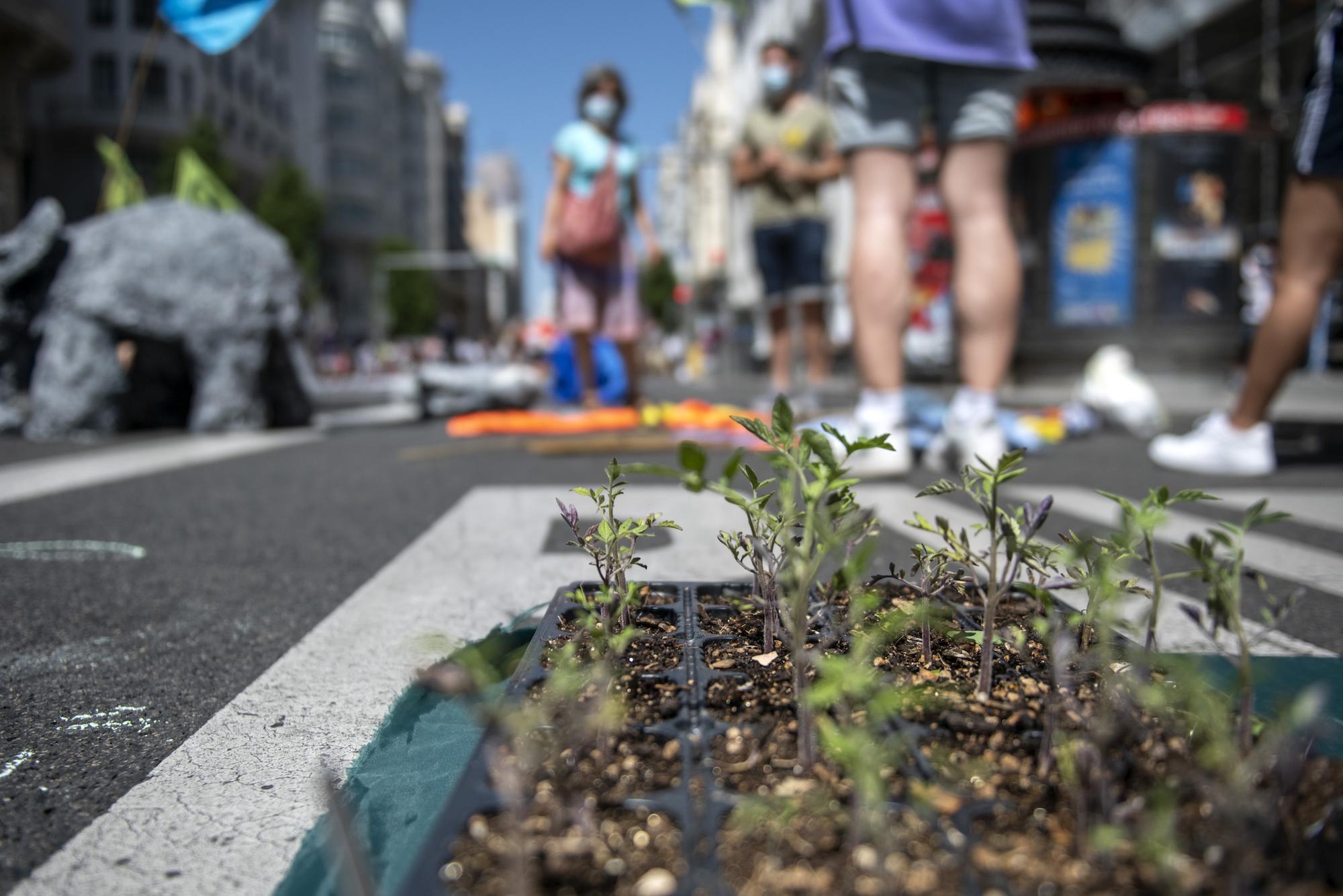 Madrid Sin Coches Callao - 9