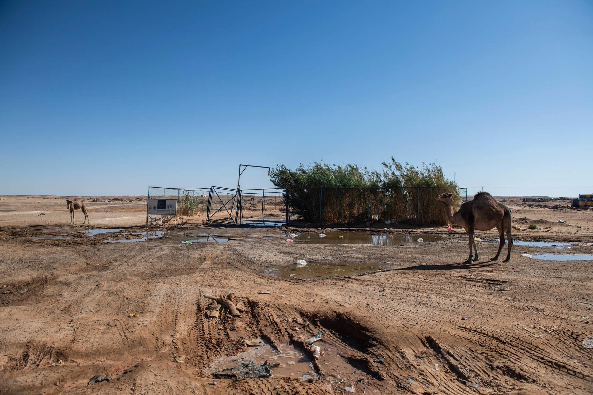 Agua en el desierto 03