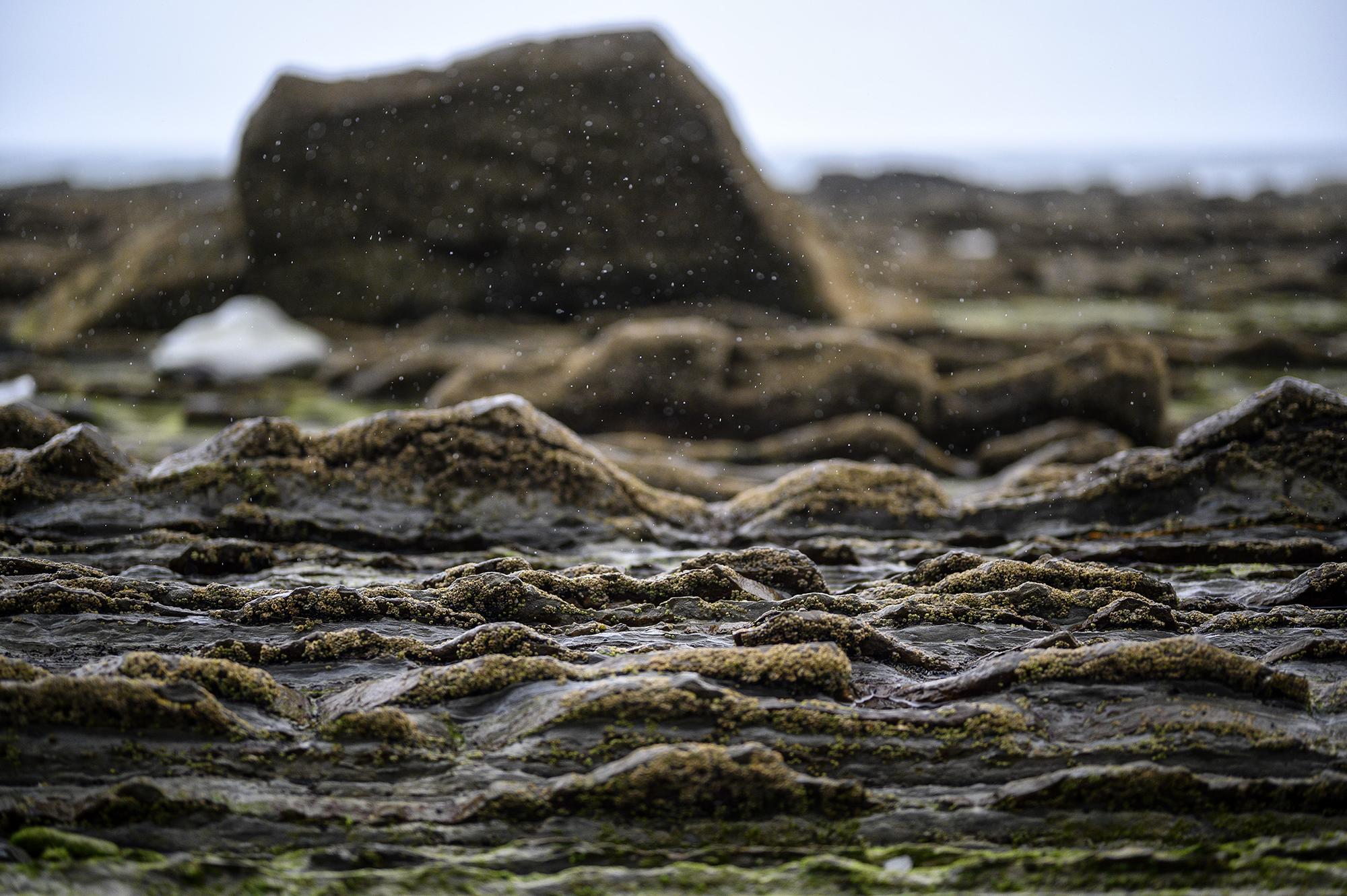 Lluvia en los flysch