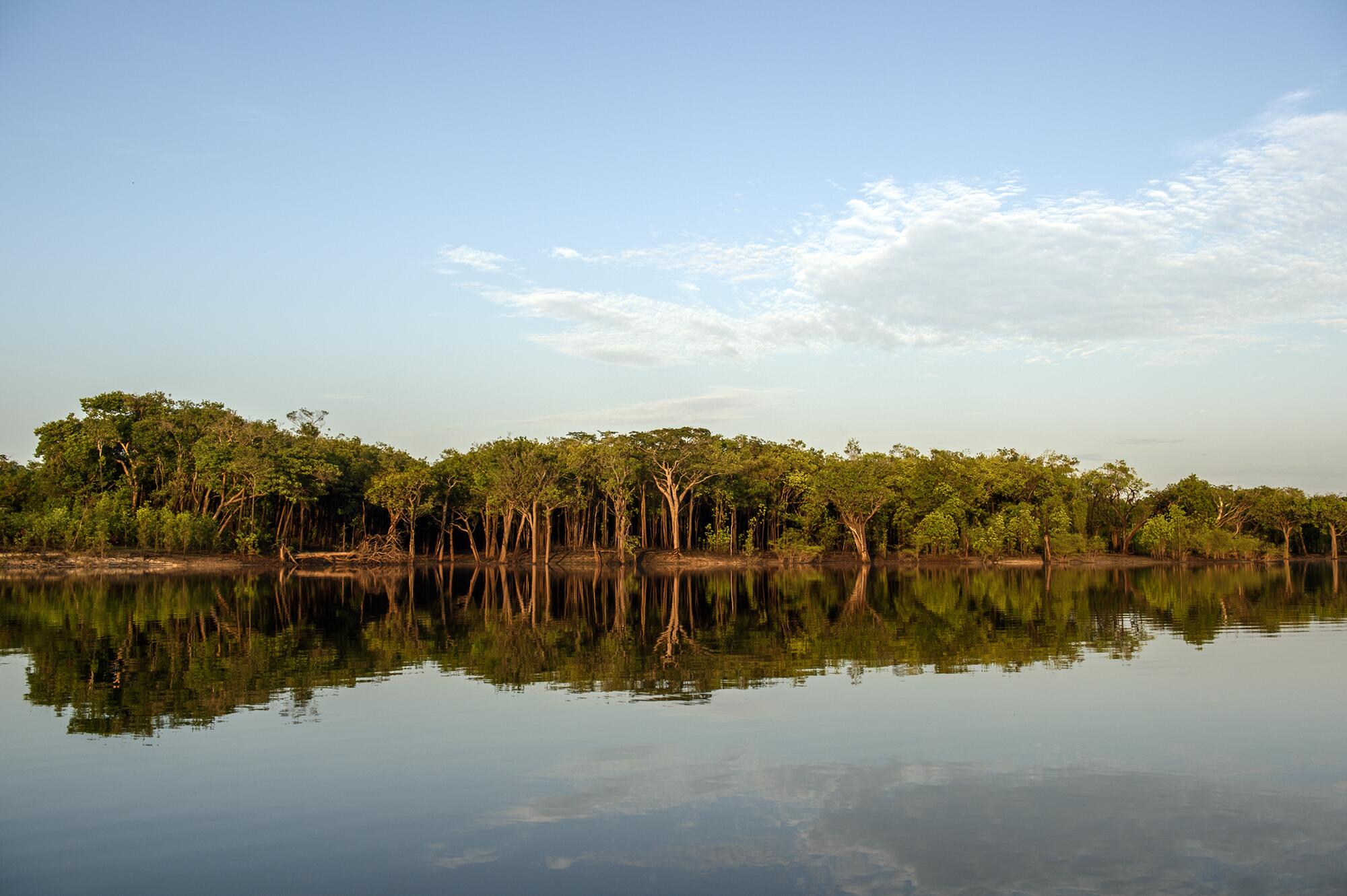 Amazonas rio - 2