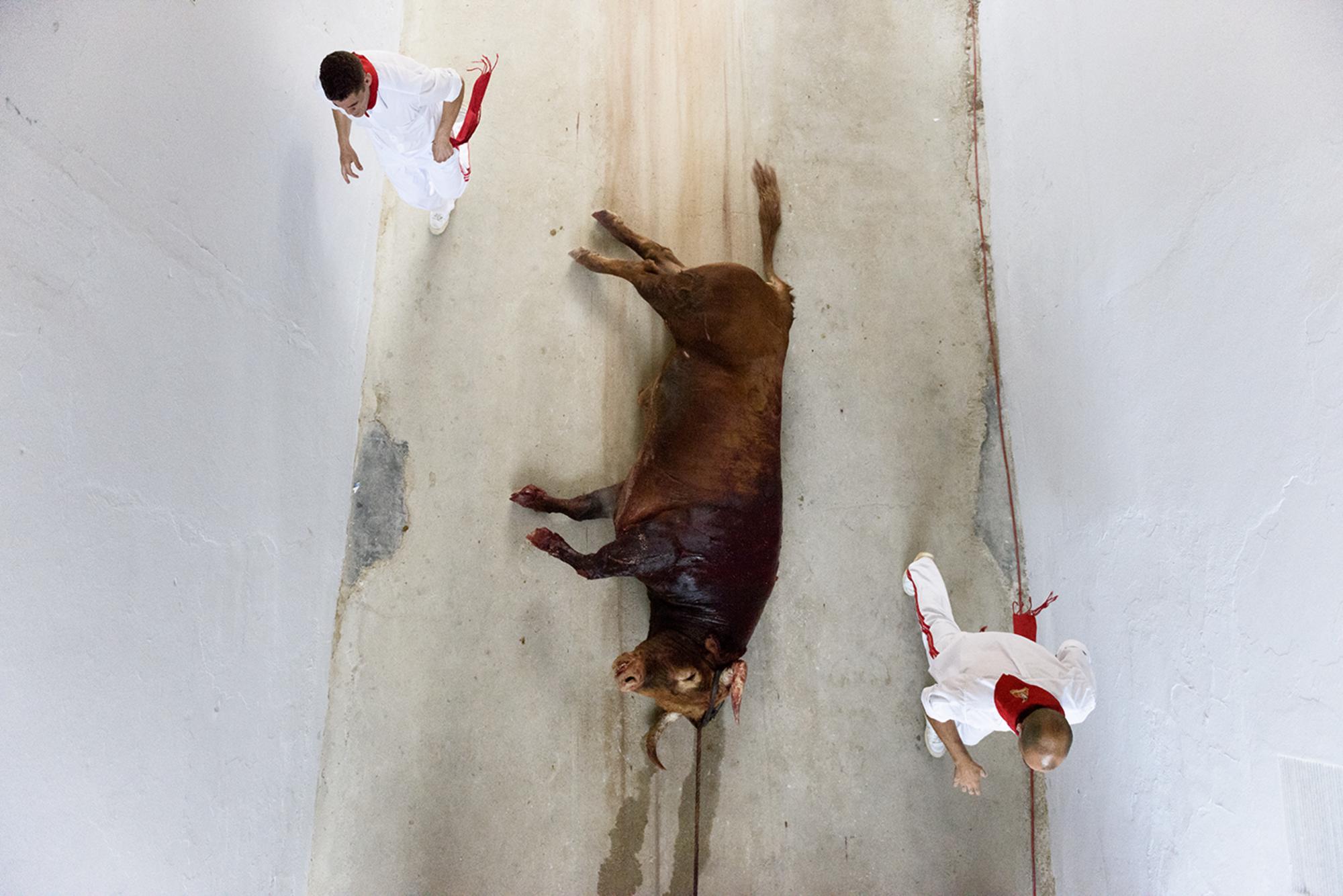 Corrida de toros en Iruña