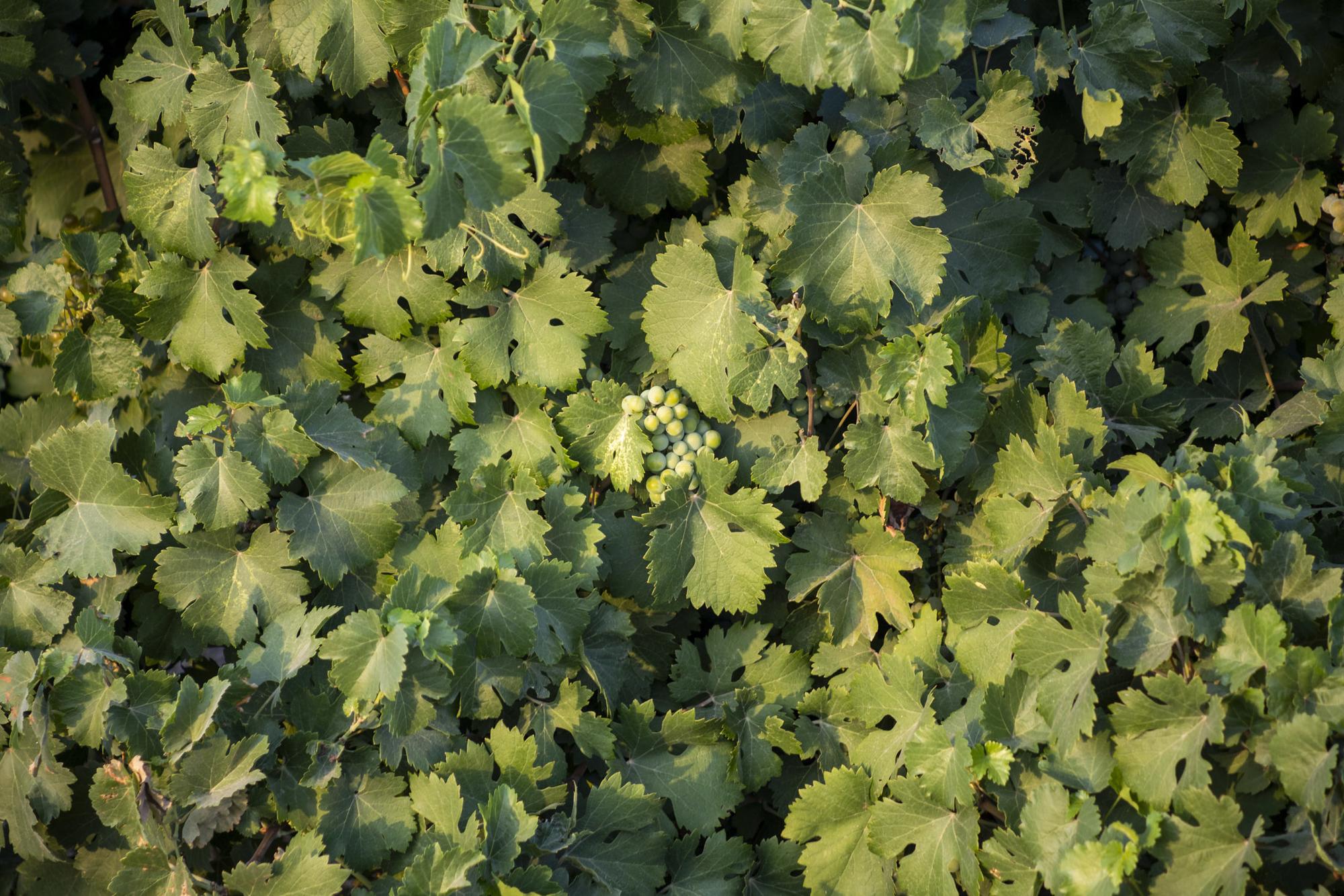 Archivo varios agosto 23 - 20