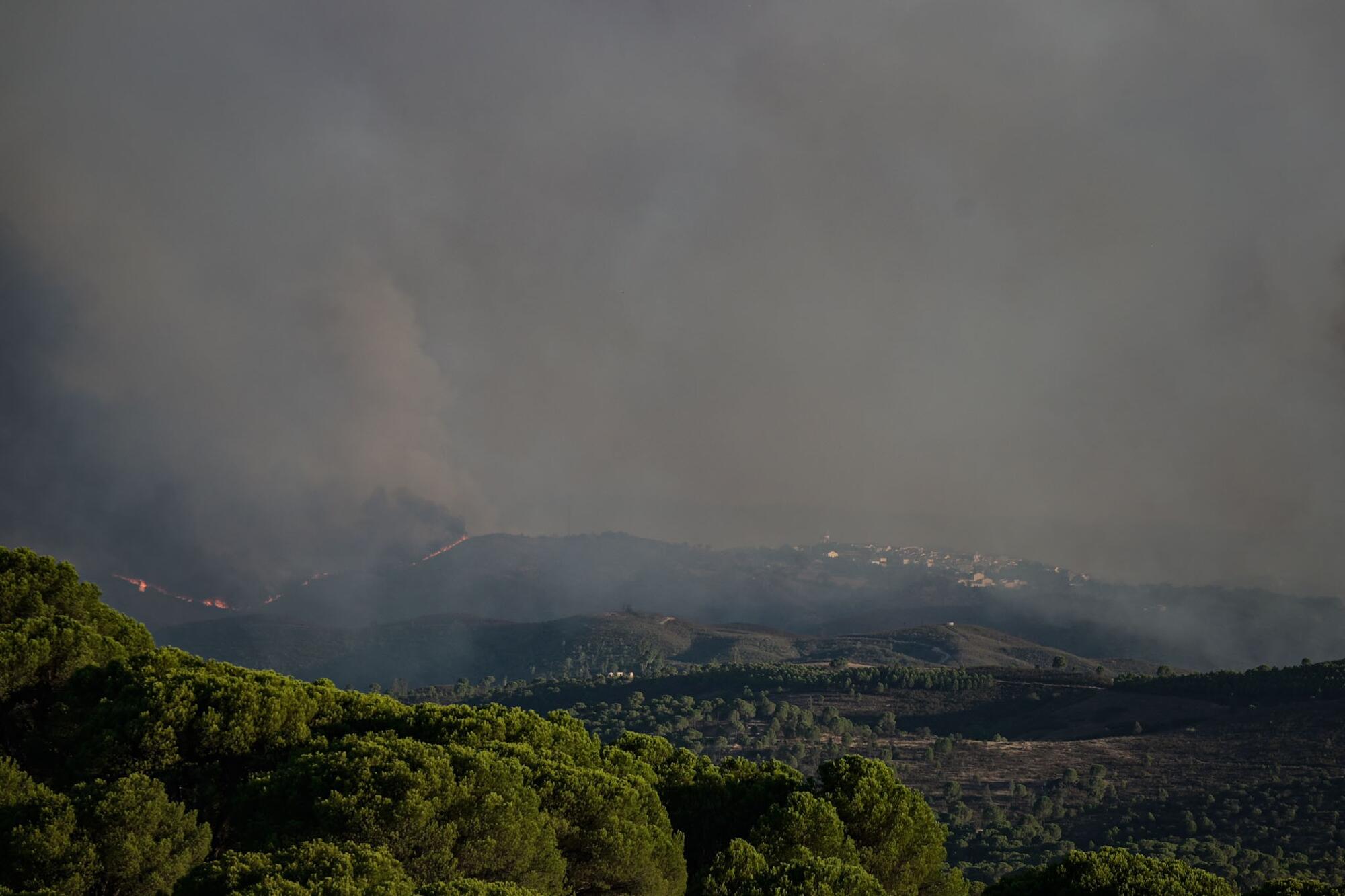 Incendio Niebla Huelva - 9