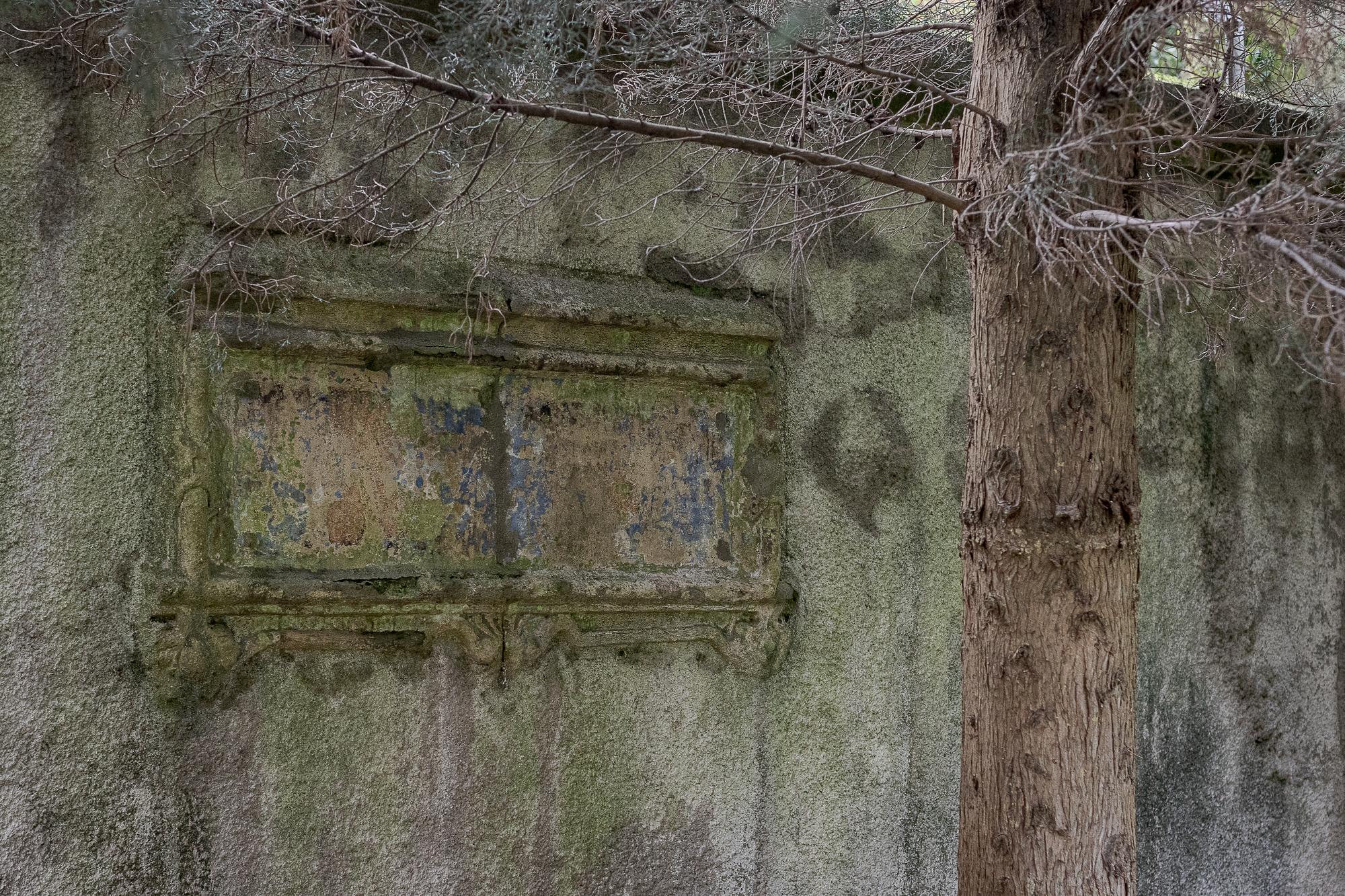 Exhumación en el cementerio de Begoña 10