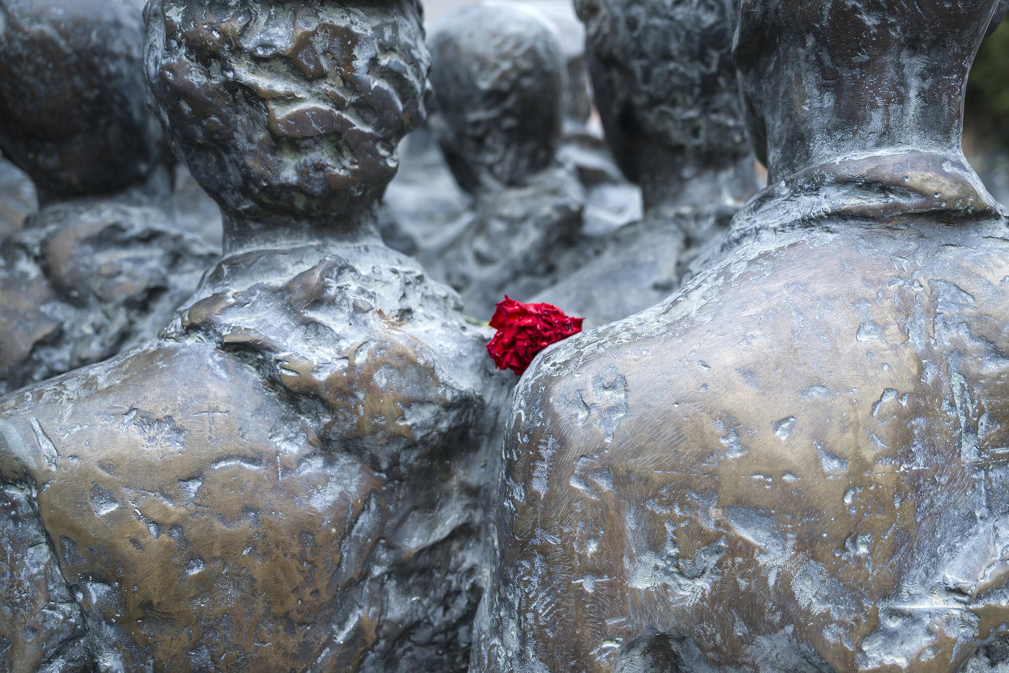 Brigas Internacionales Left - 5