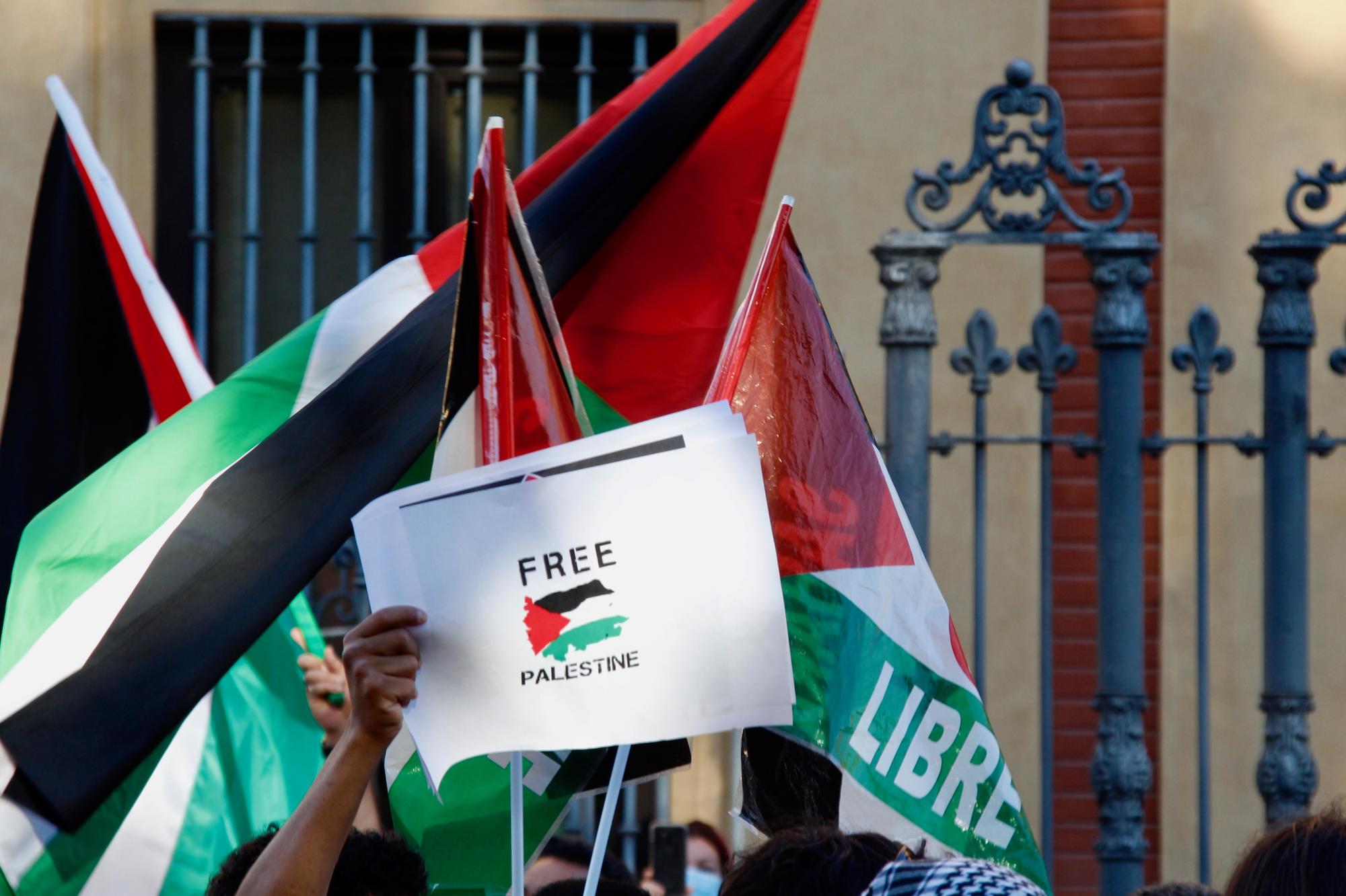 Andalucía grita “Palestina libre desde el río hasta el mar” - 5