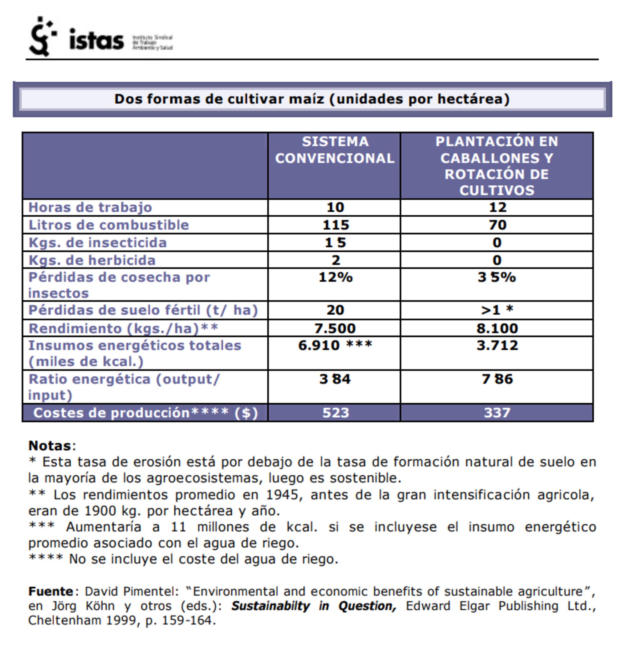 Cultivo maíz estudio