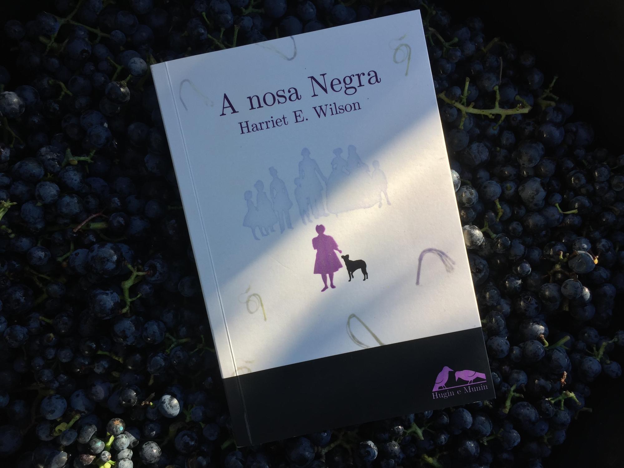 A nosa negra Harriet E. Wilson 