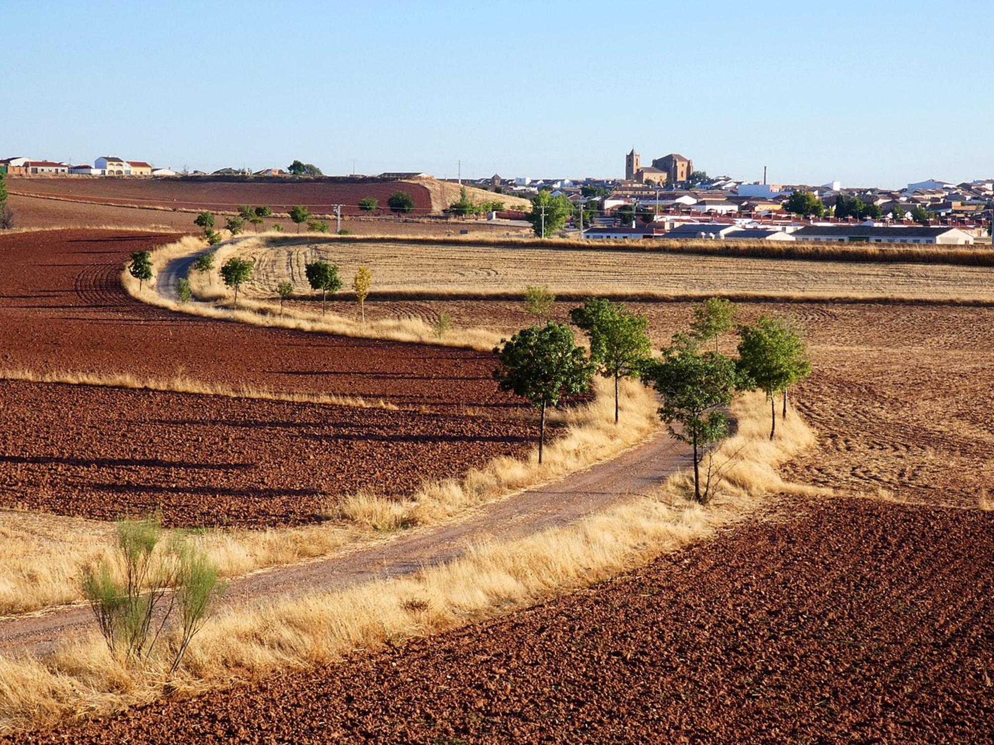 tierras raras torre de juan abad