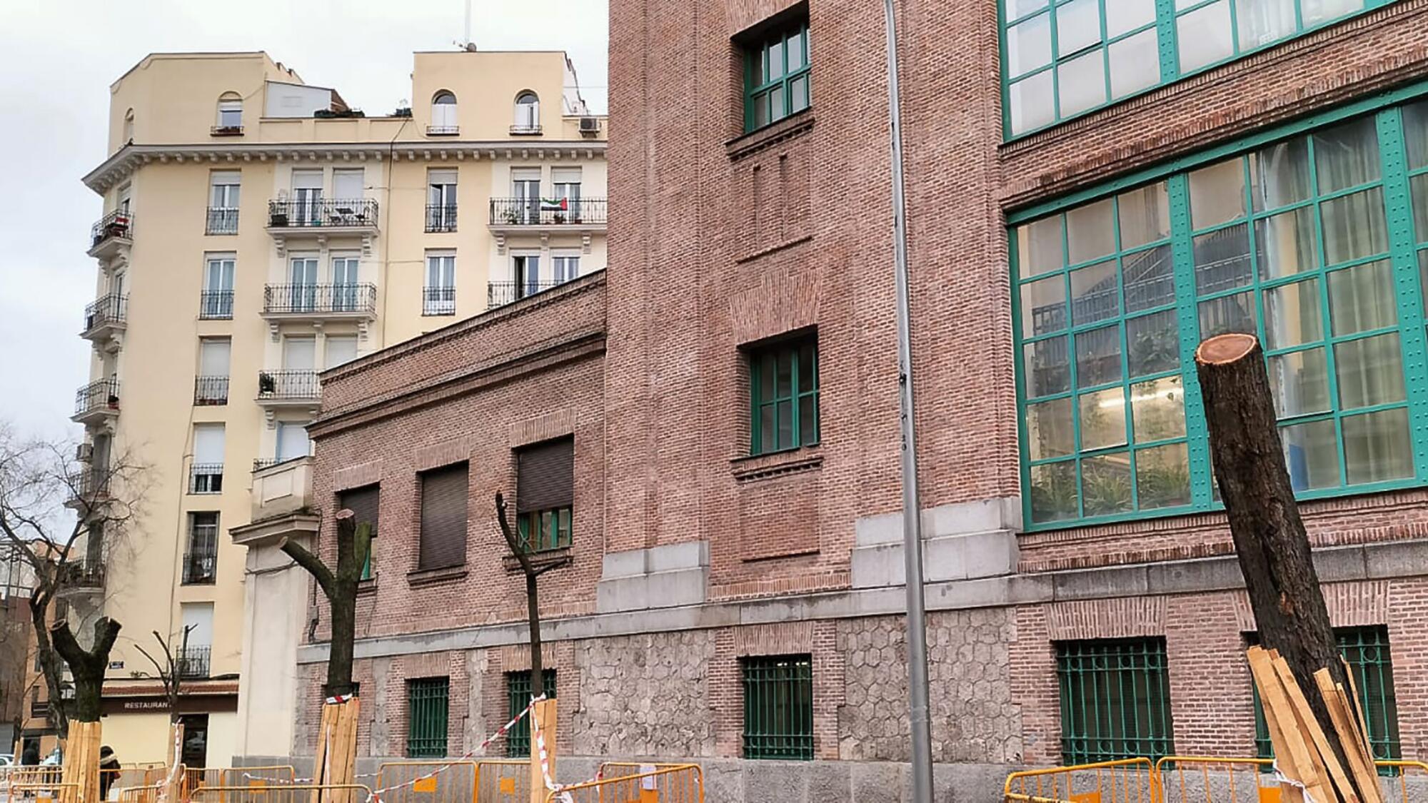 Árboles cortados Atocha