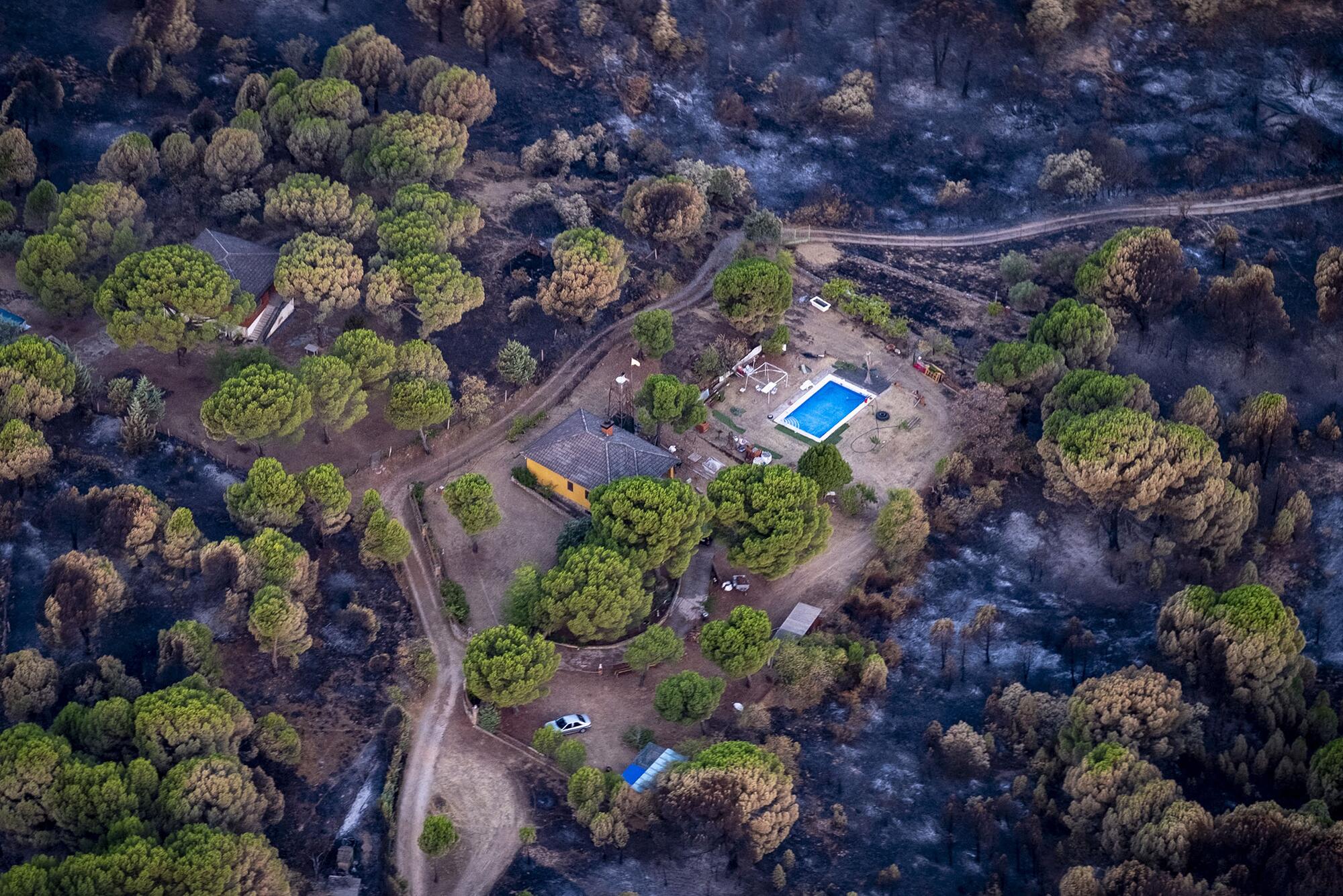 Fotografia aerea grandes incendios forestales  - 11