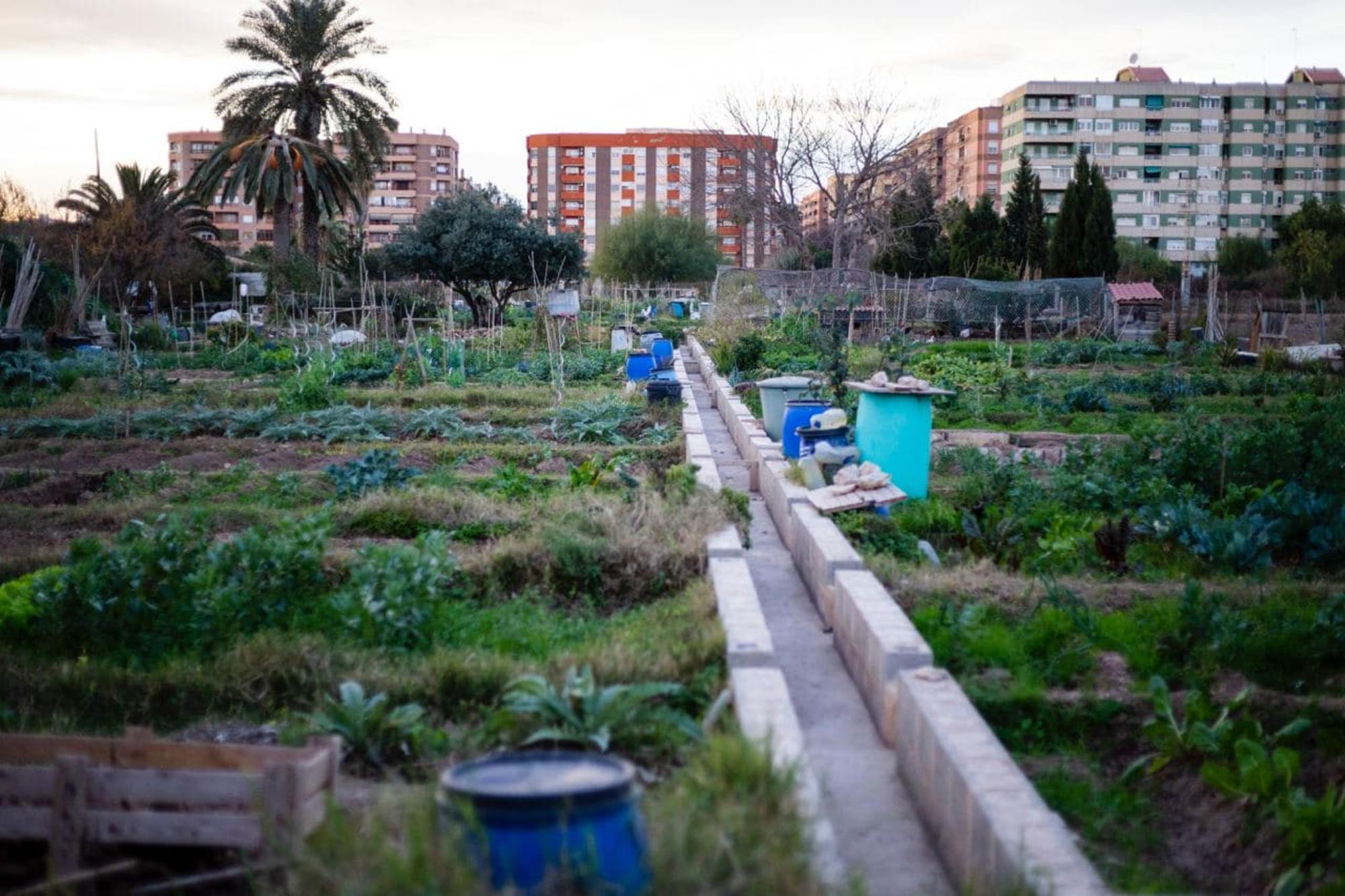 huerto urbano horta valencia