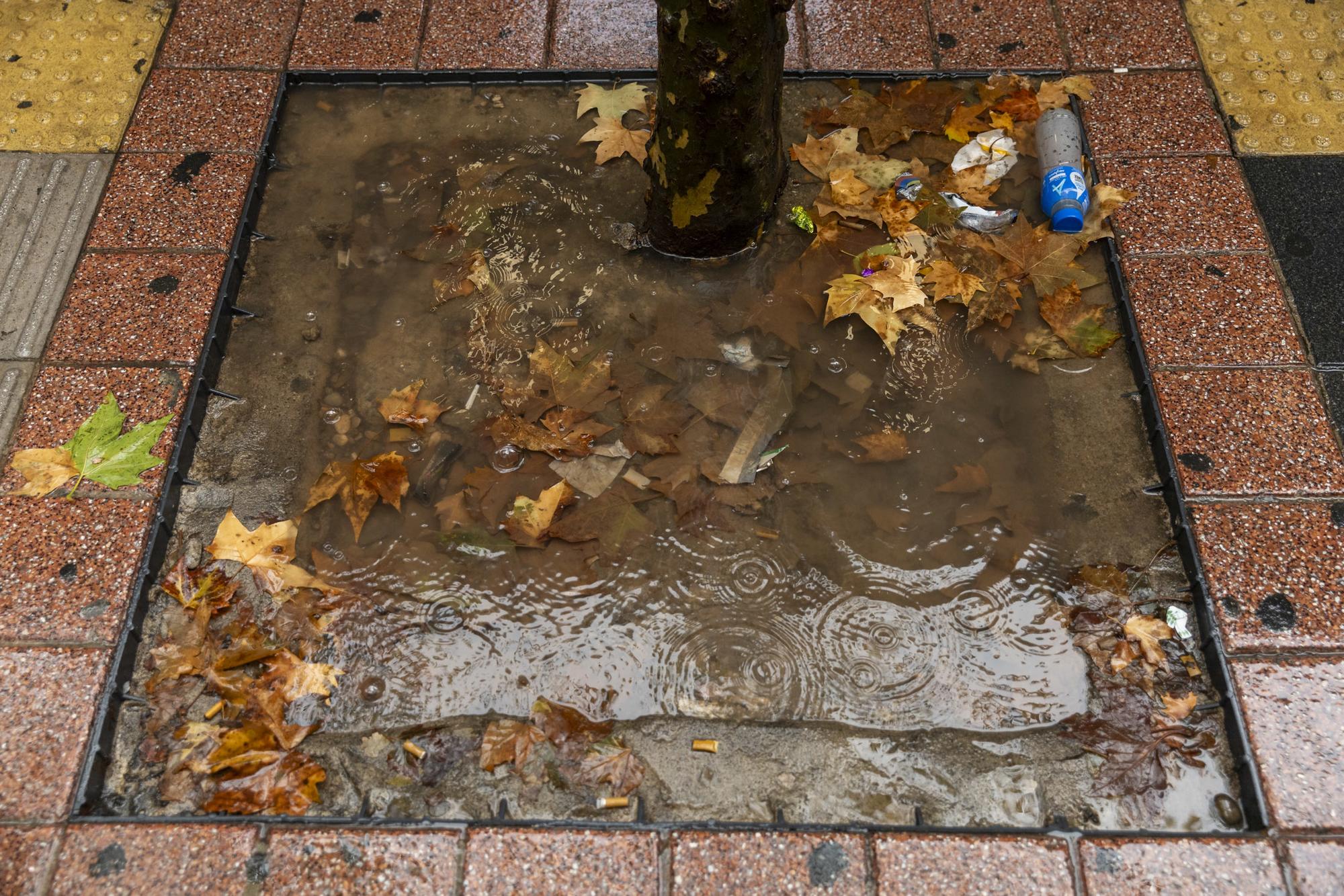 Lluvia en Madrid - 7