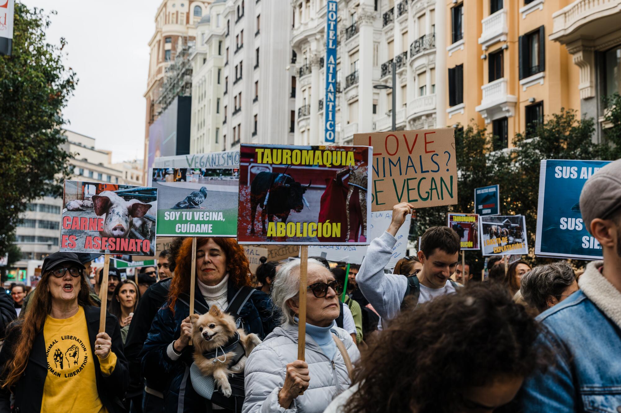 Noviembre Antiespecista 2025 -2