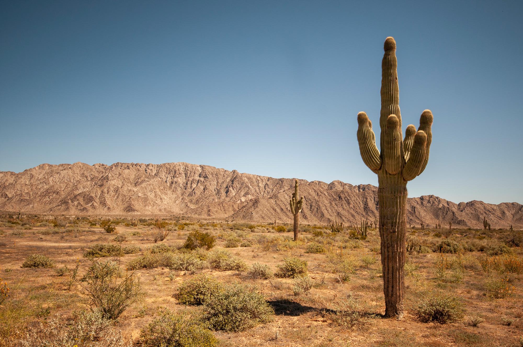 El Oeste de Estados Unidos