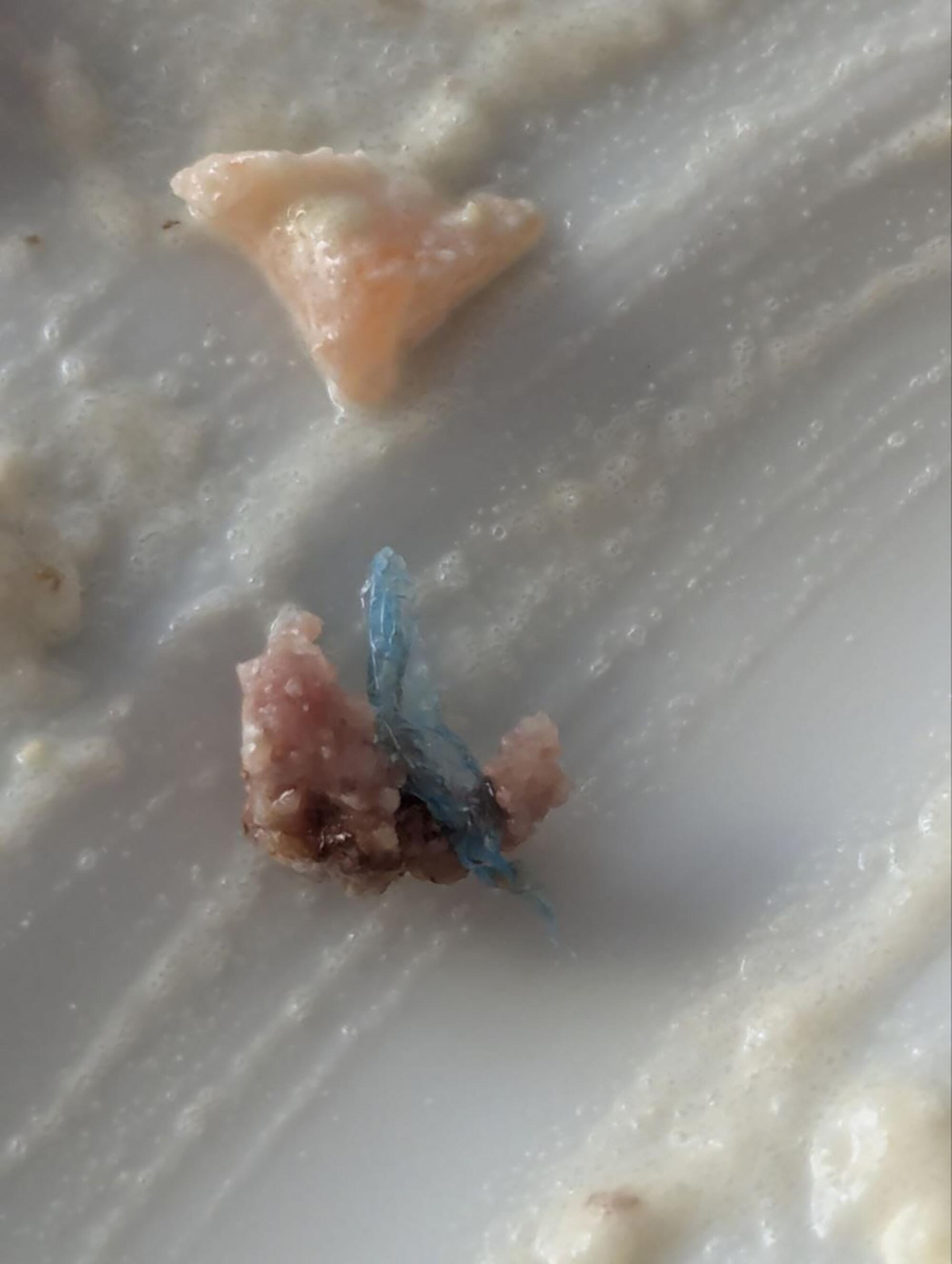 Comida hotel Gatell - 1